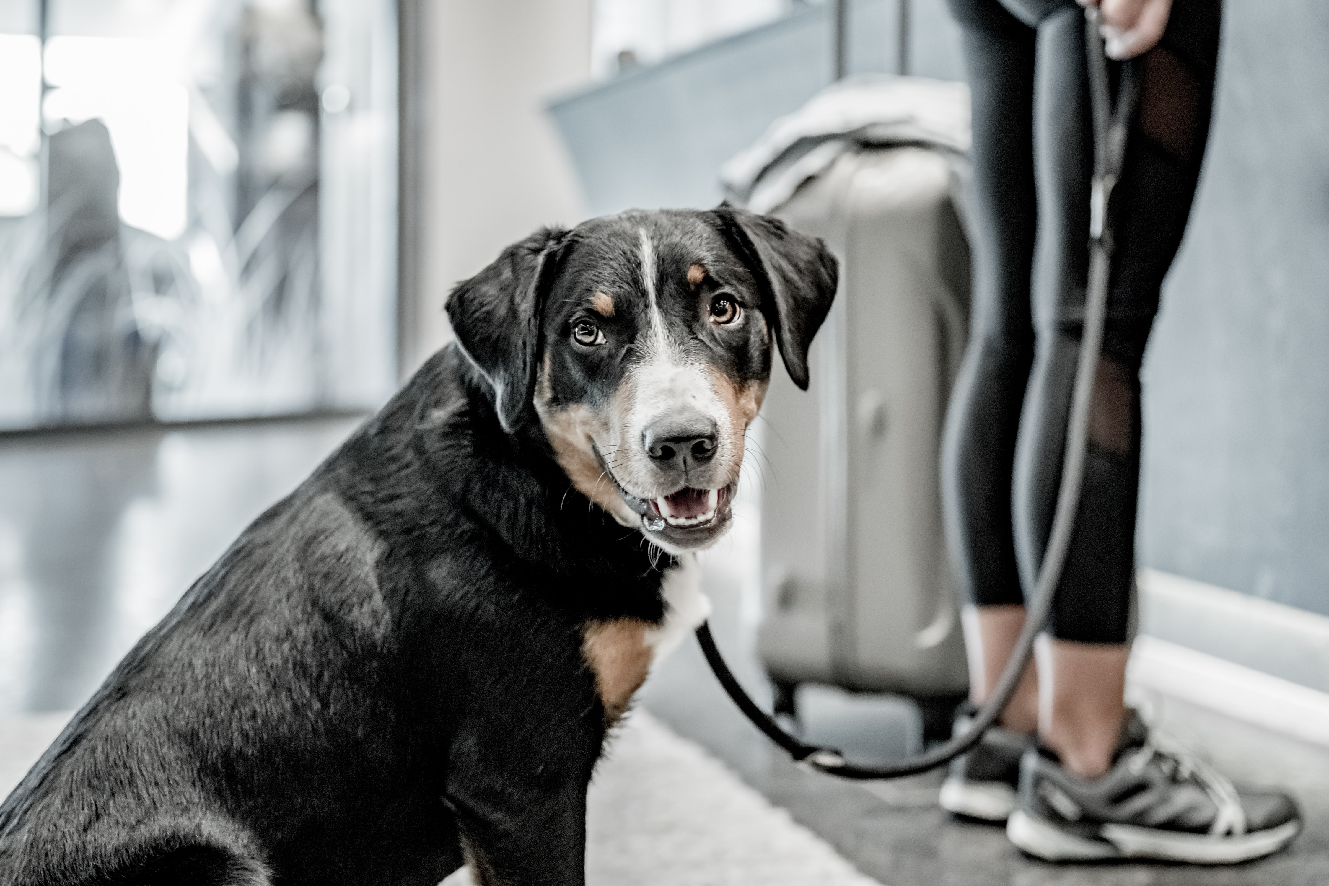 Фото Ski- & Golfresort Hotel Riml