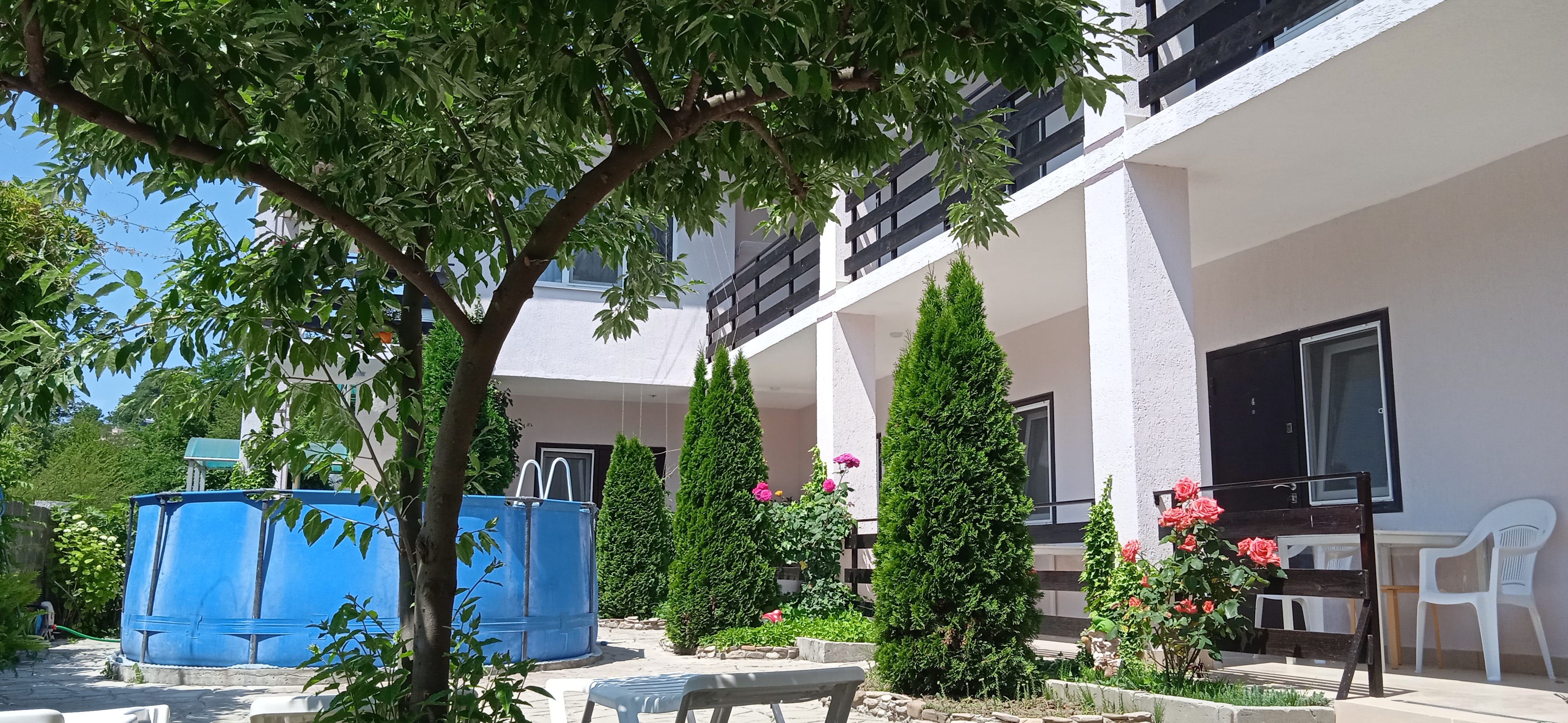 Фото Пчелка