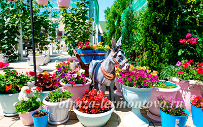 Фото Бирюза - Гранат