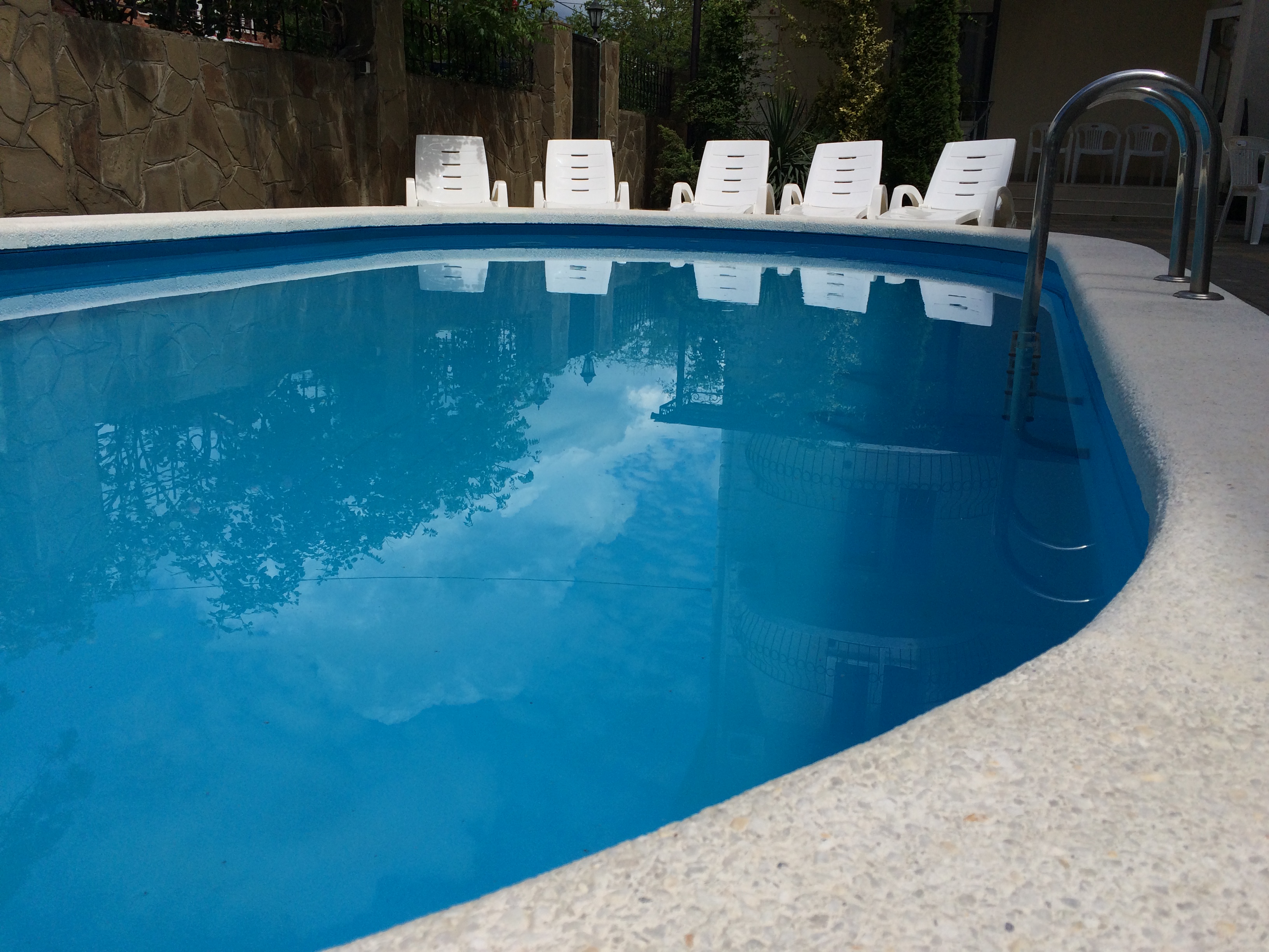 Фото Золотой Каштан