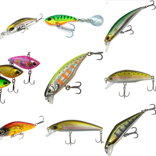 Ayollar mushuklarini yaqindan korsatishadi