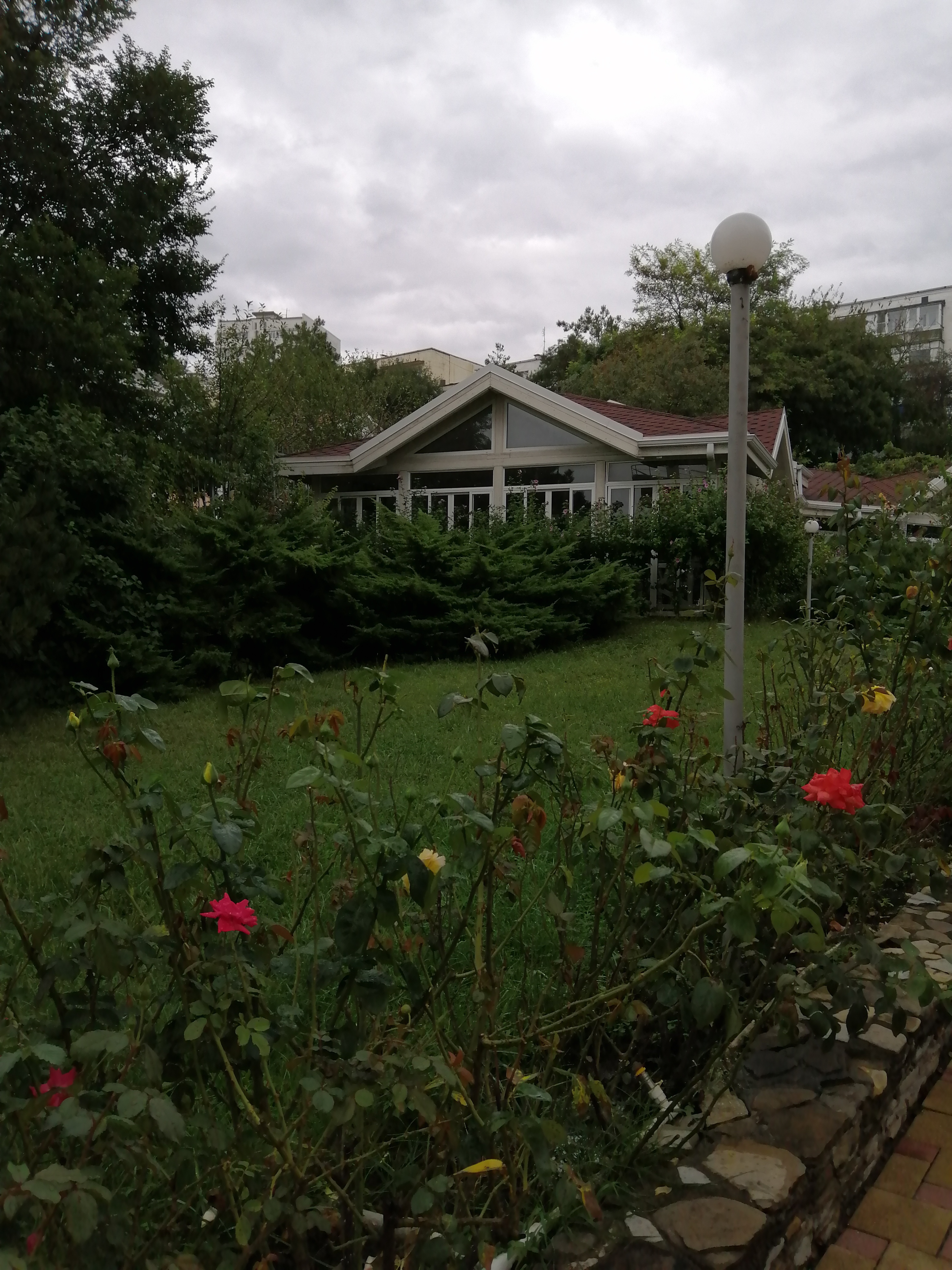 Фото Фламинго