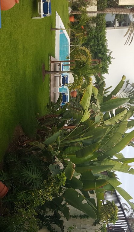 Фото VIP Apartamentos Nogal