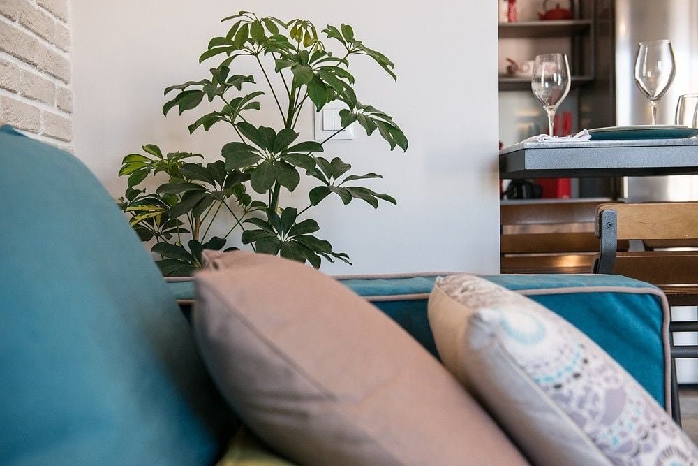 Фото 96794098959