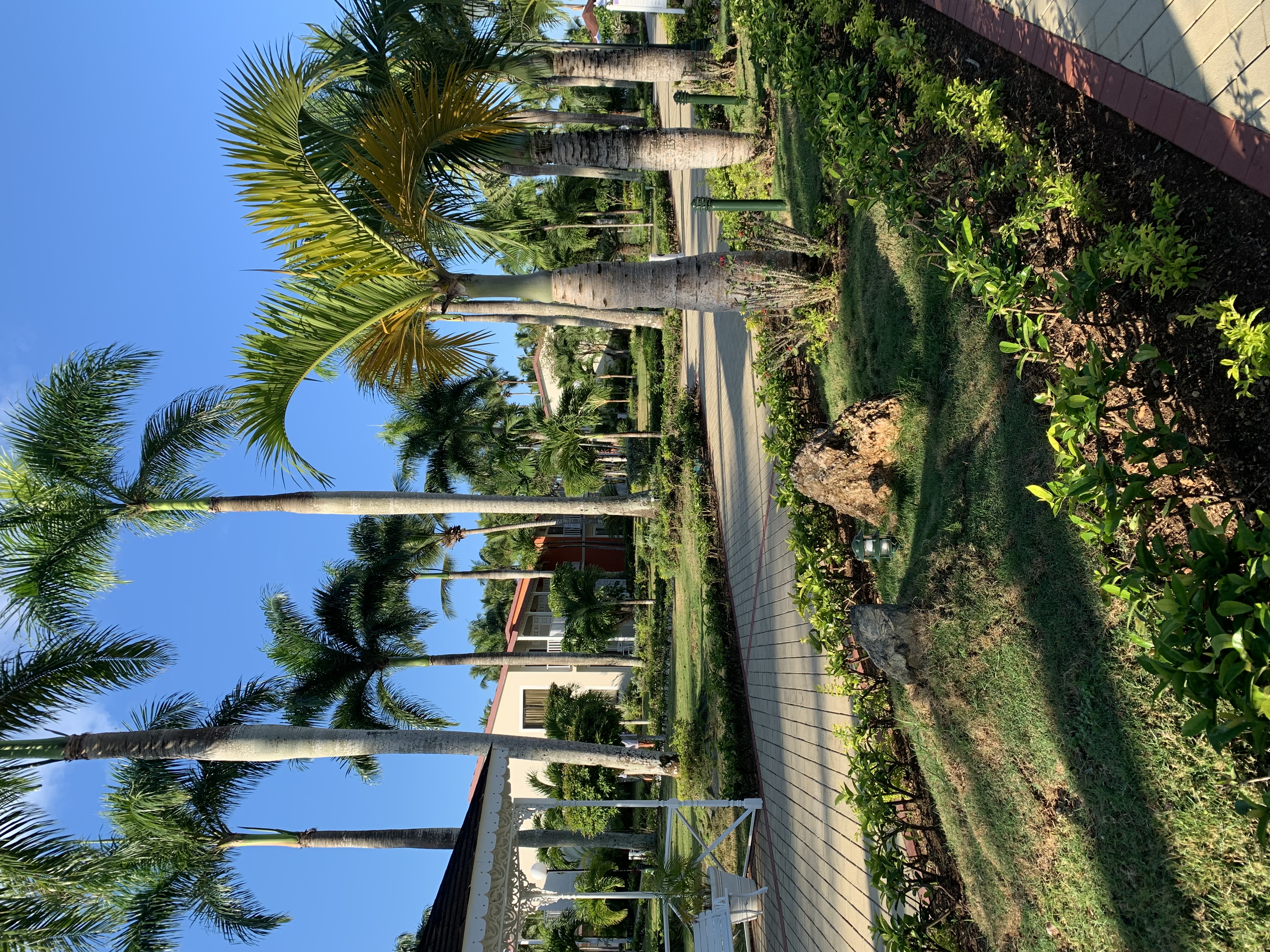 Фото Bahia Principe Grand La Romana - All Inclusive