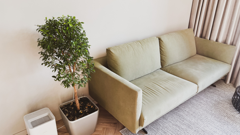 Фото Little Home Centre