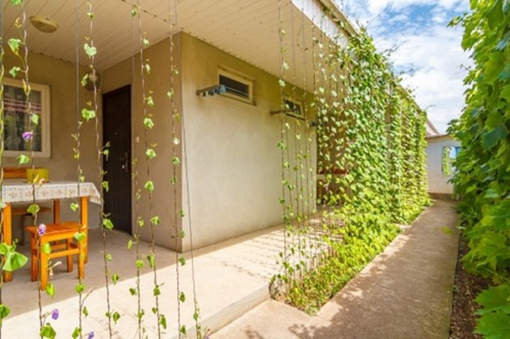 Фото Южный Берег