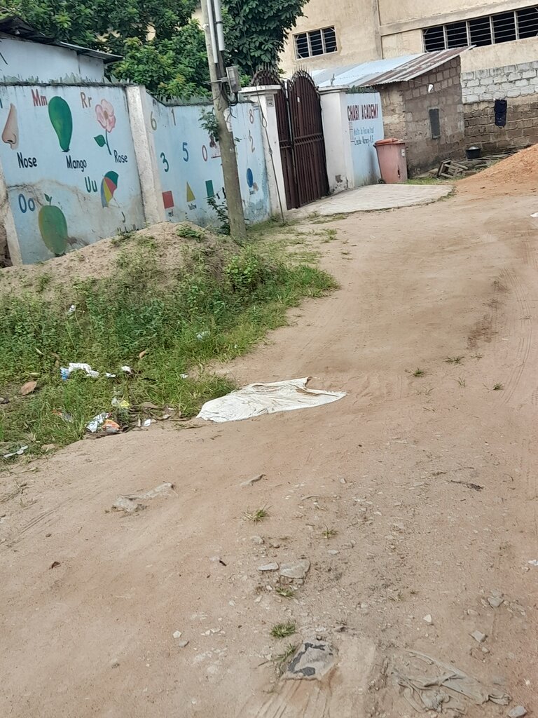 School Chabi academy, Earth, photo