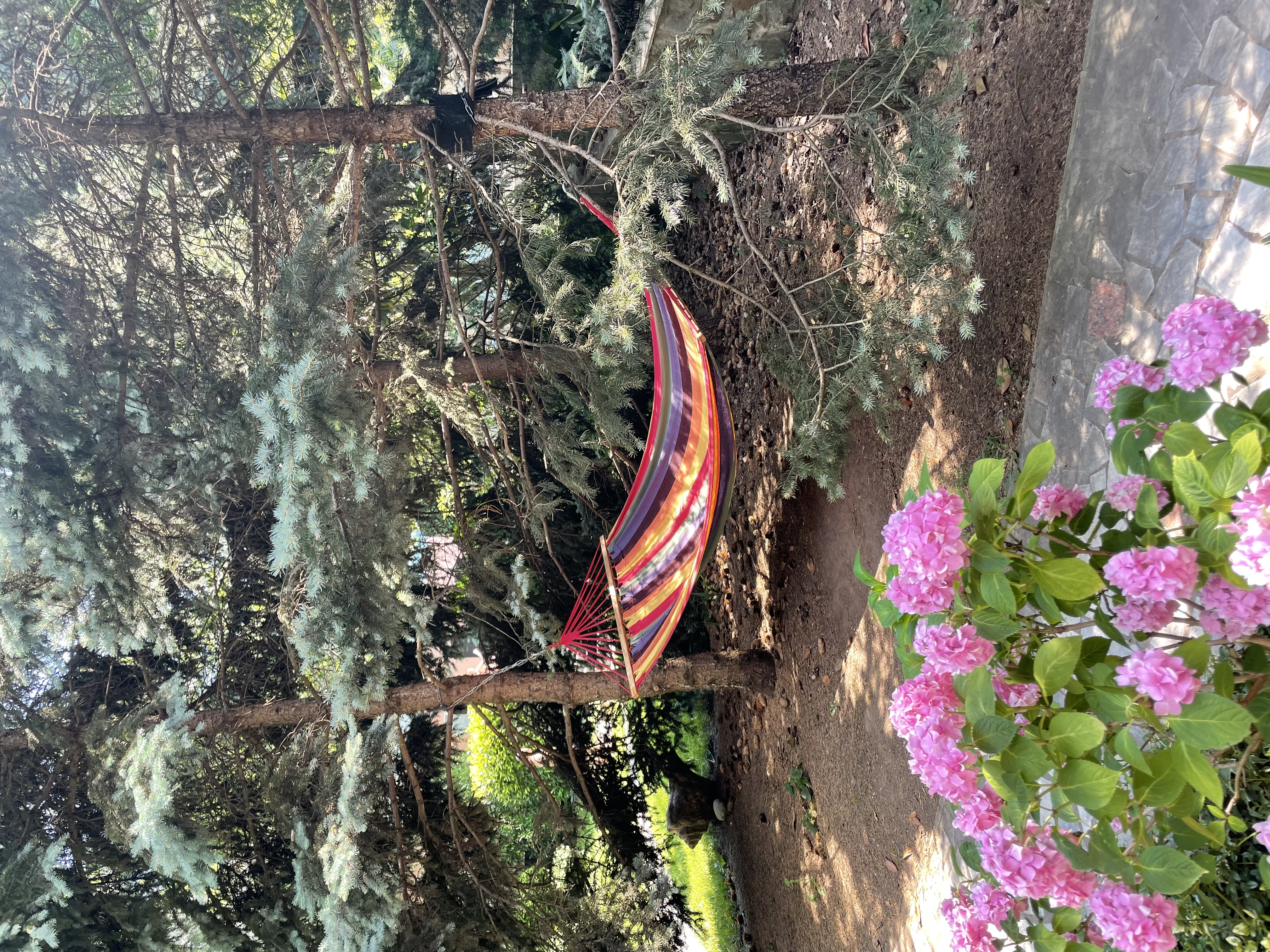 Фото Муссон