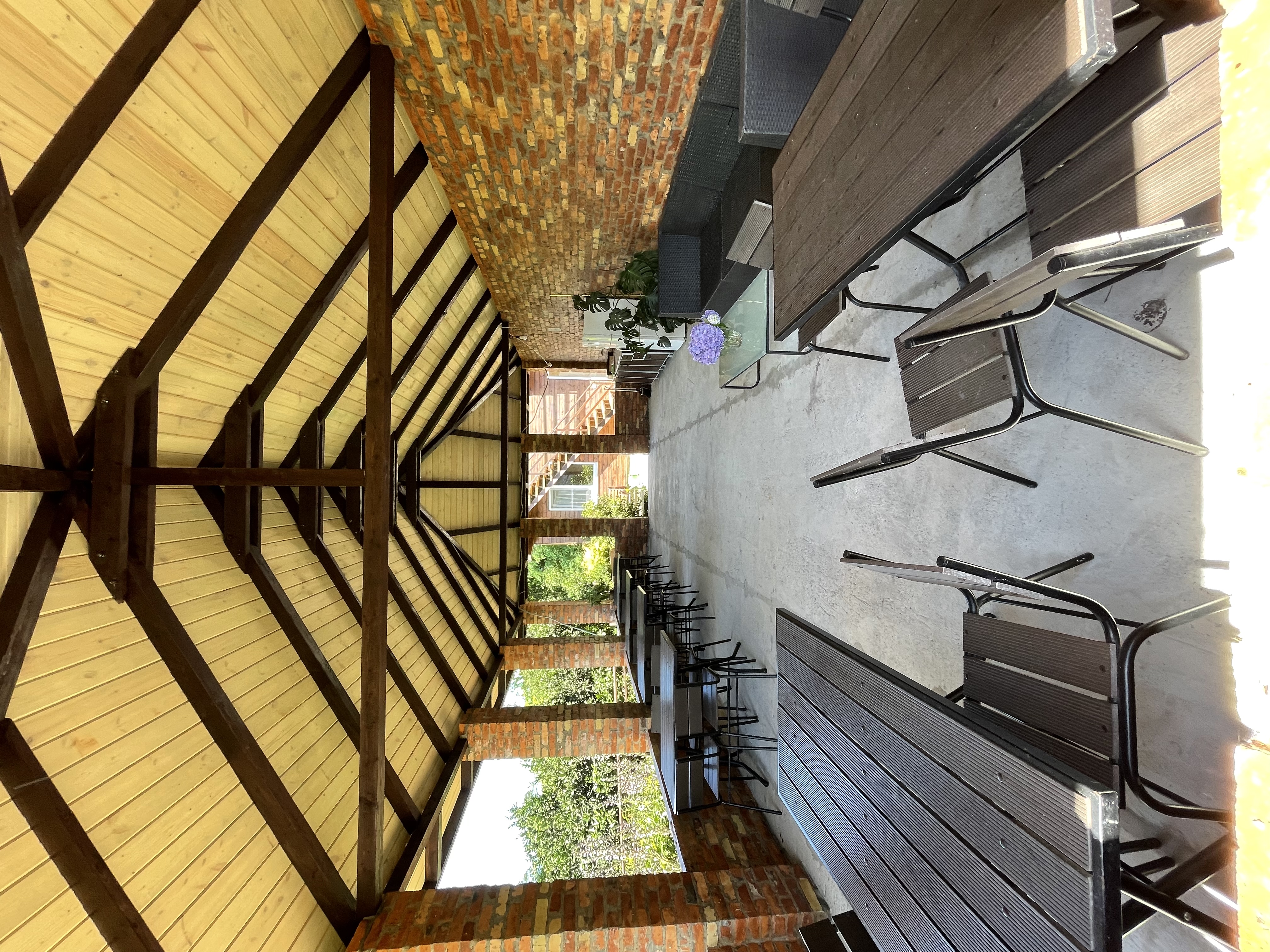 Фото Эвкалипт