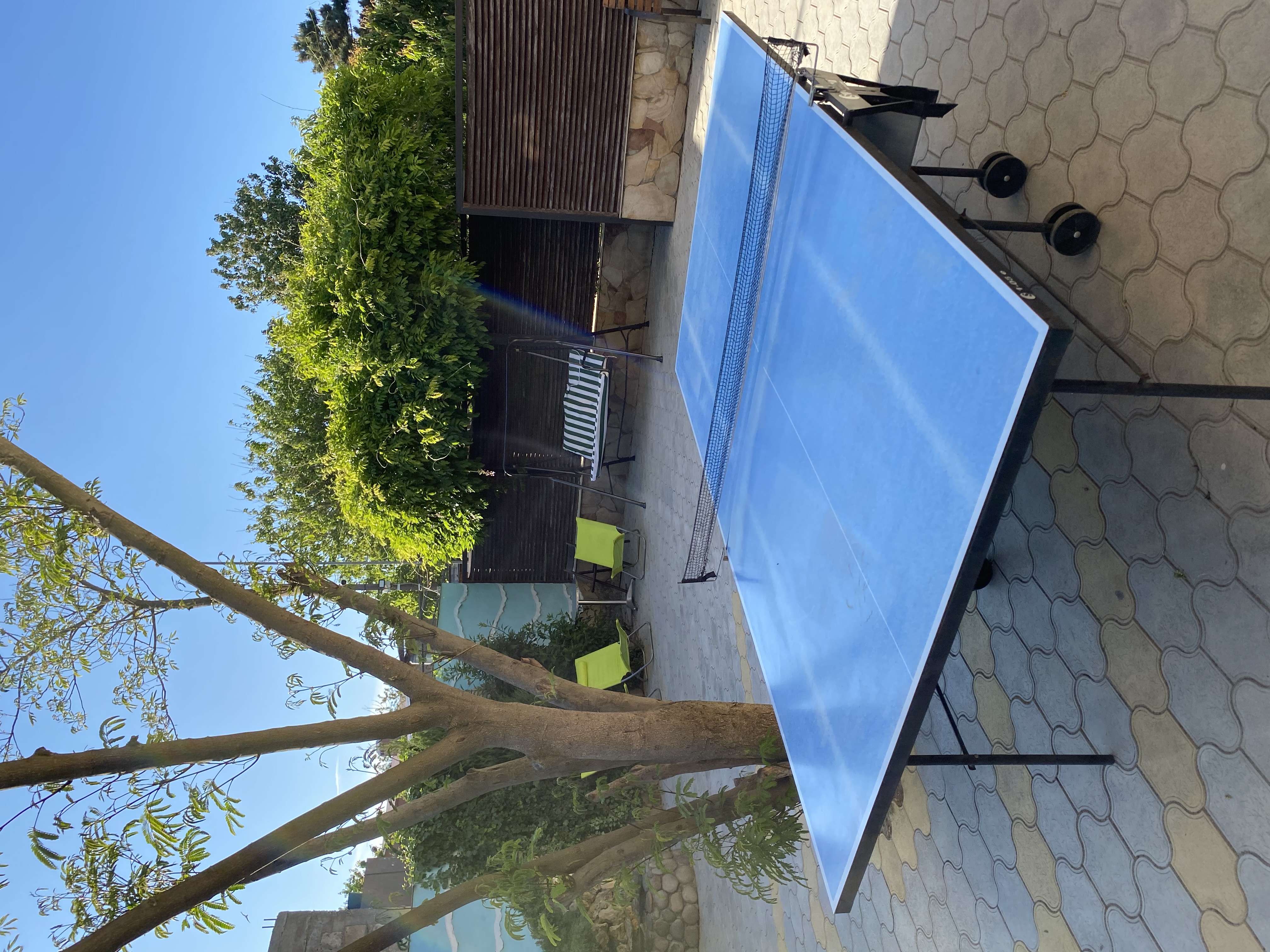 Фото Ракушка Блага