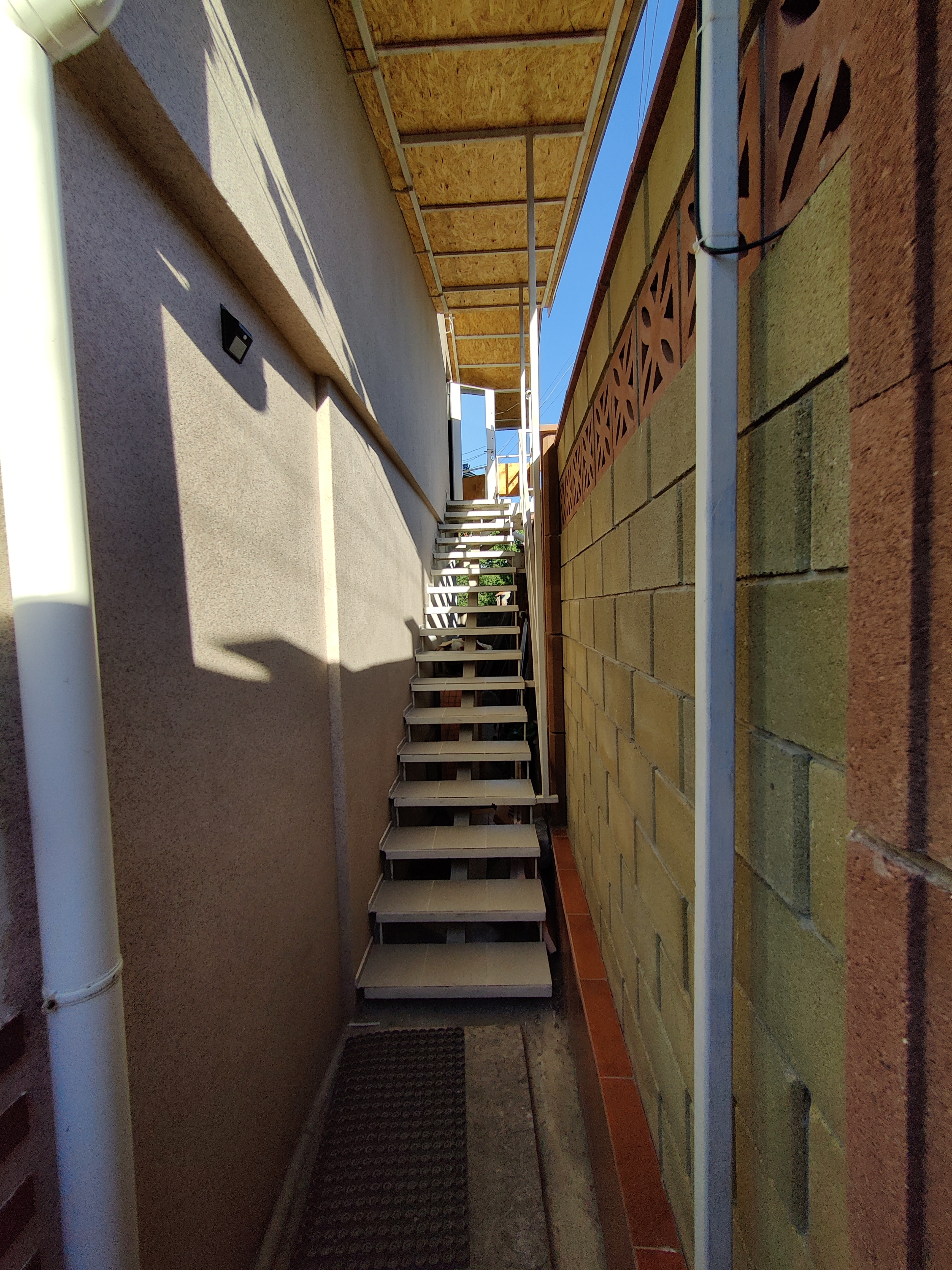 Фото Лавандин