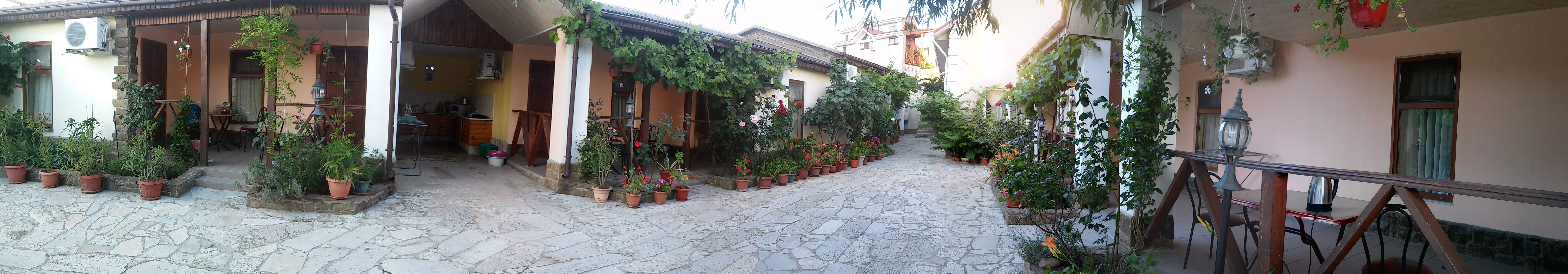 Фото Глициния