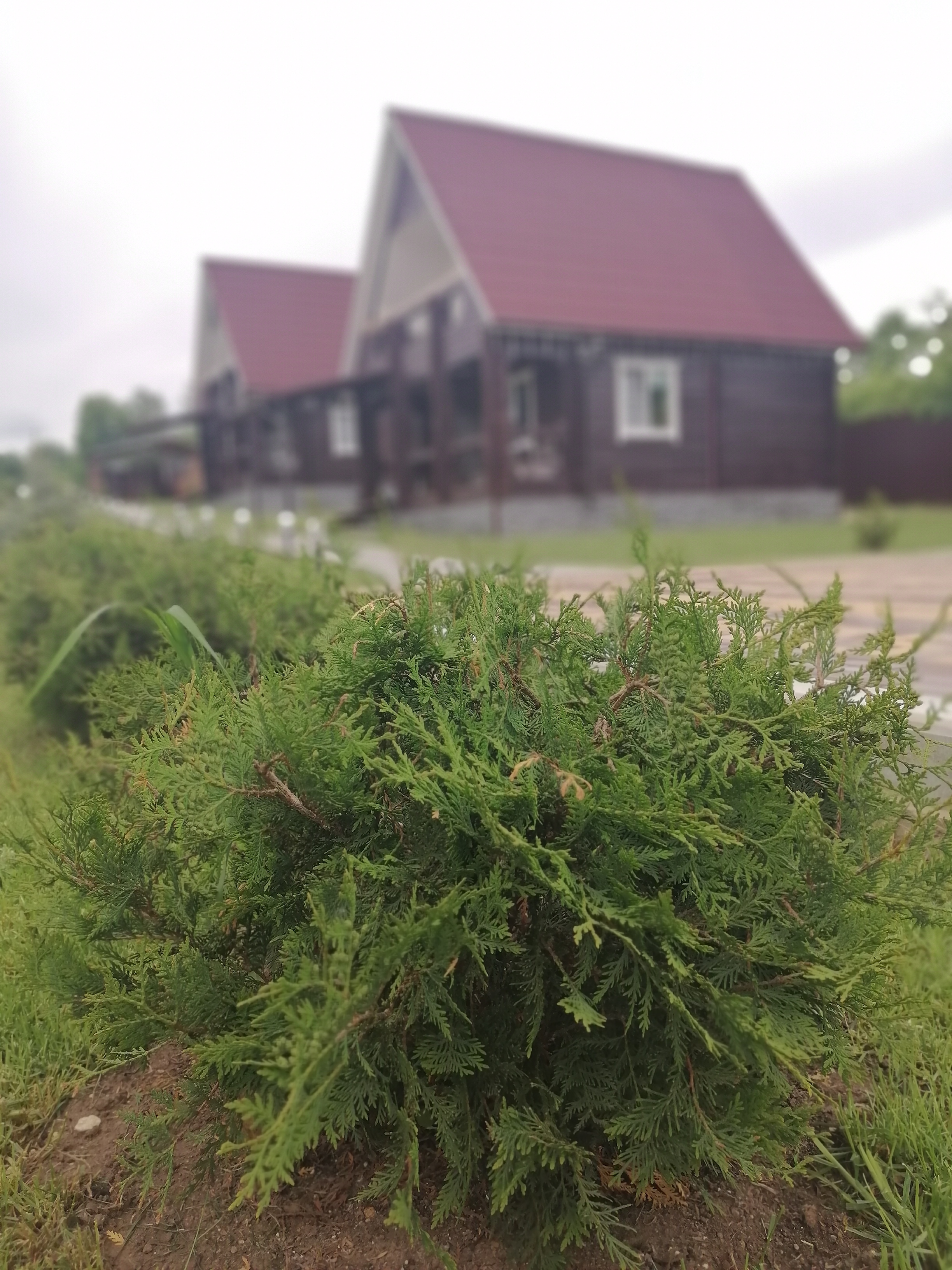 Фото Усадьба Дон