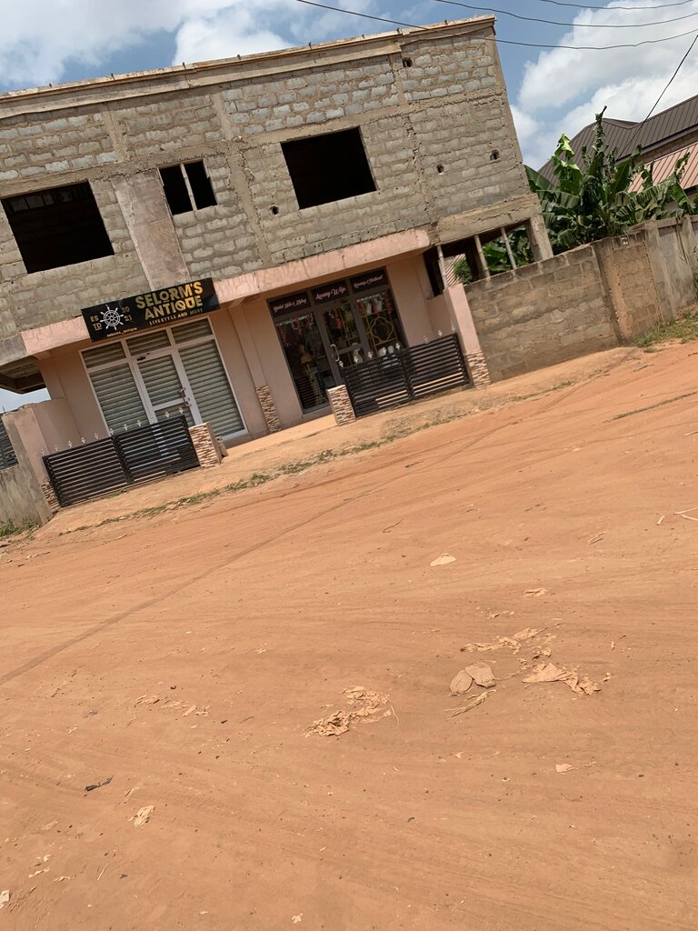 Antique store Selom’s Antique, Earth, photo