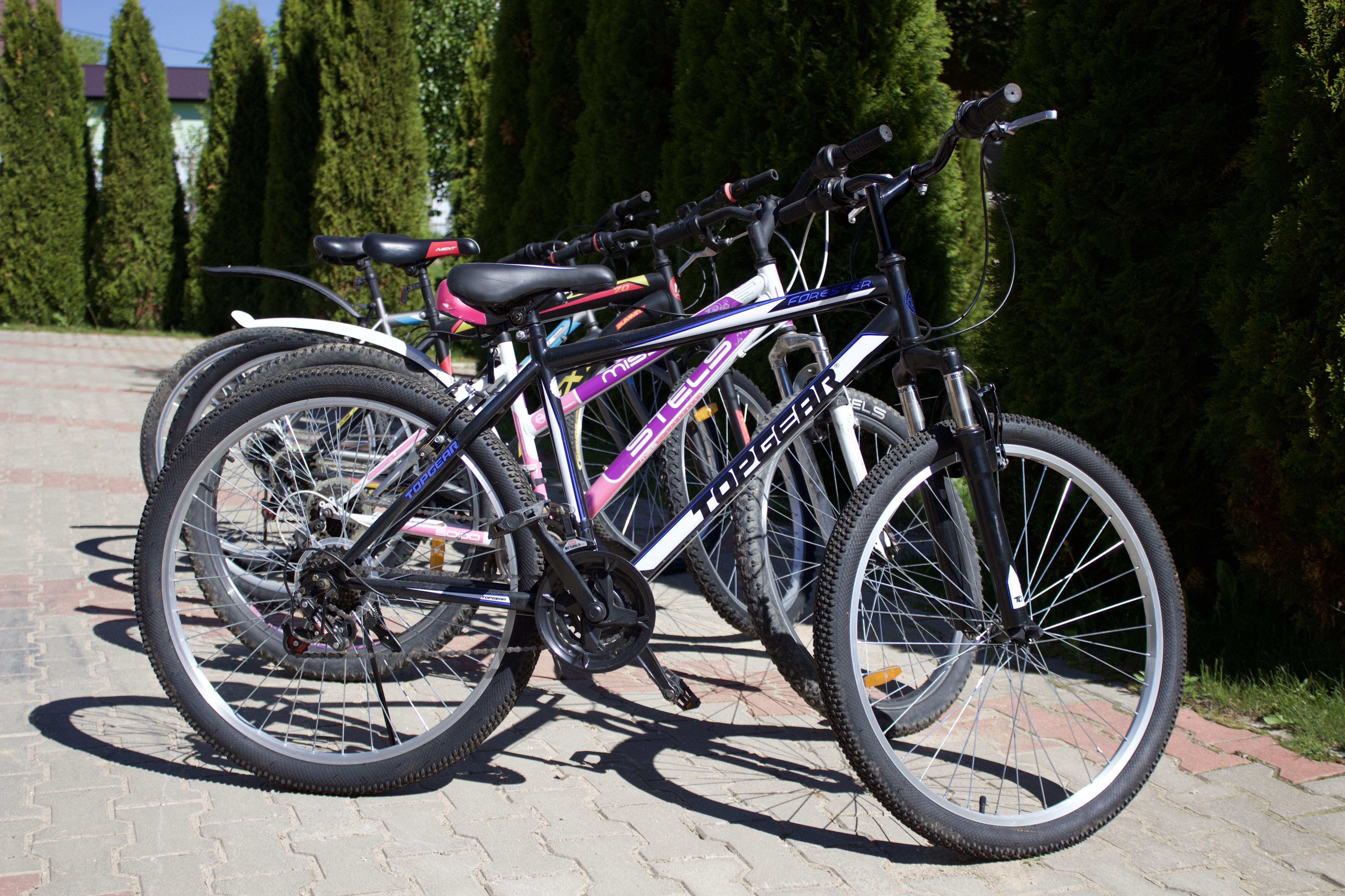 Фото Семейный дом