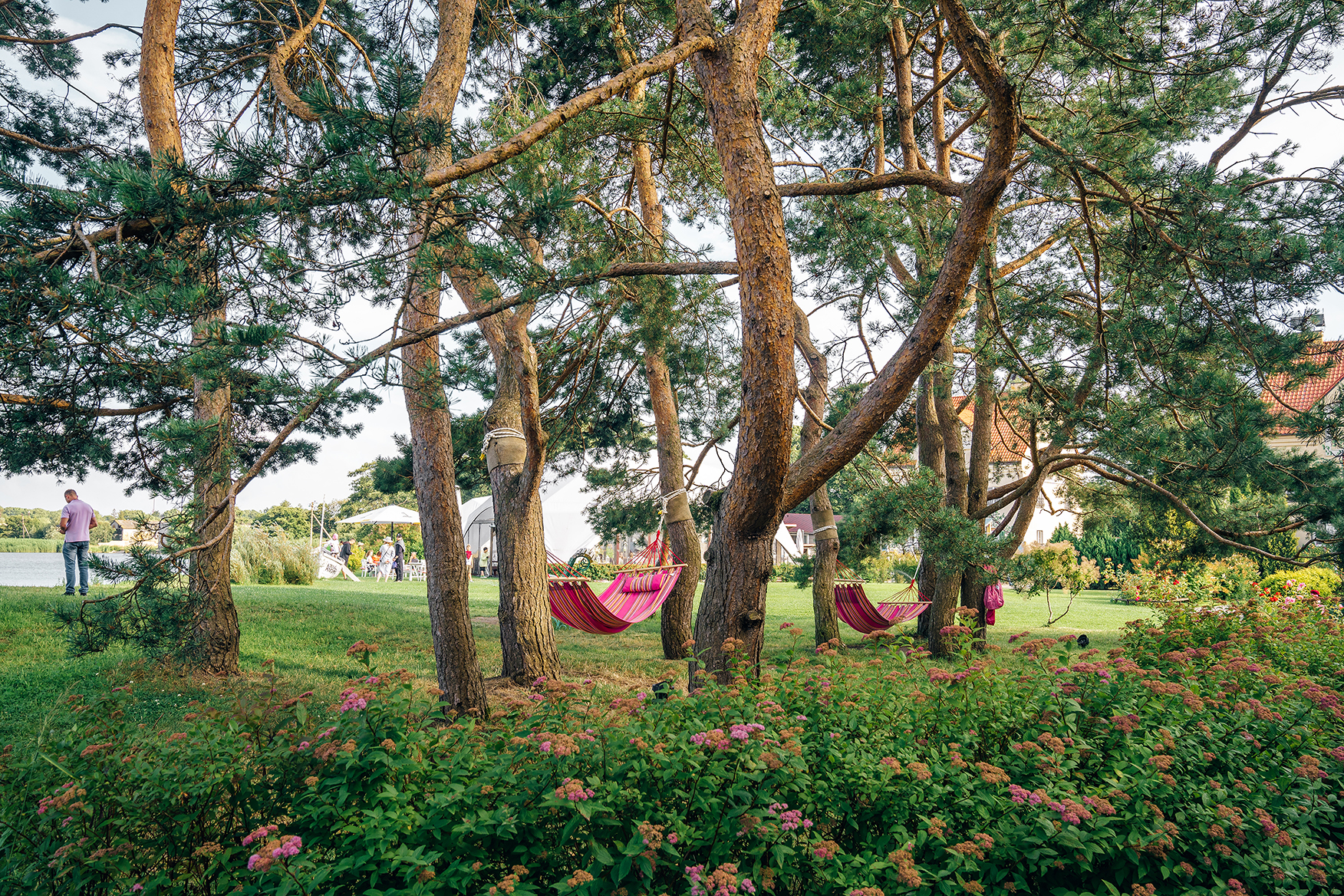 Фото Альтримо