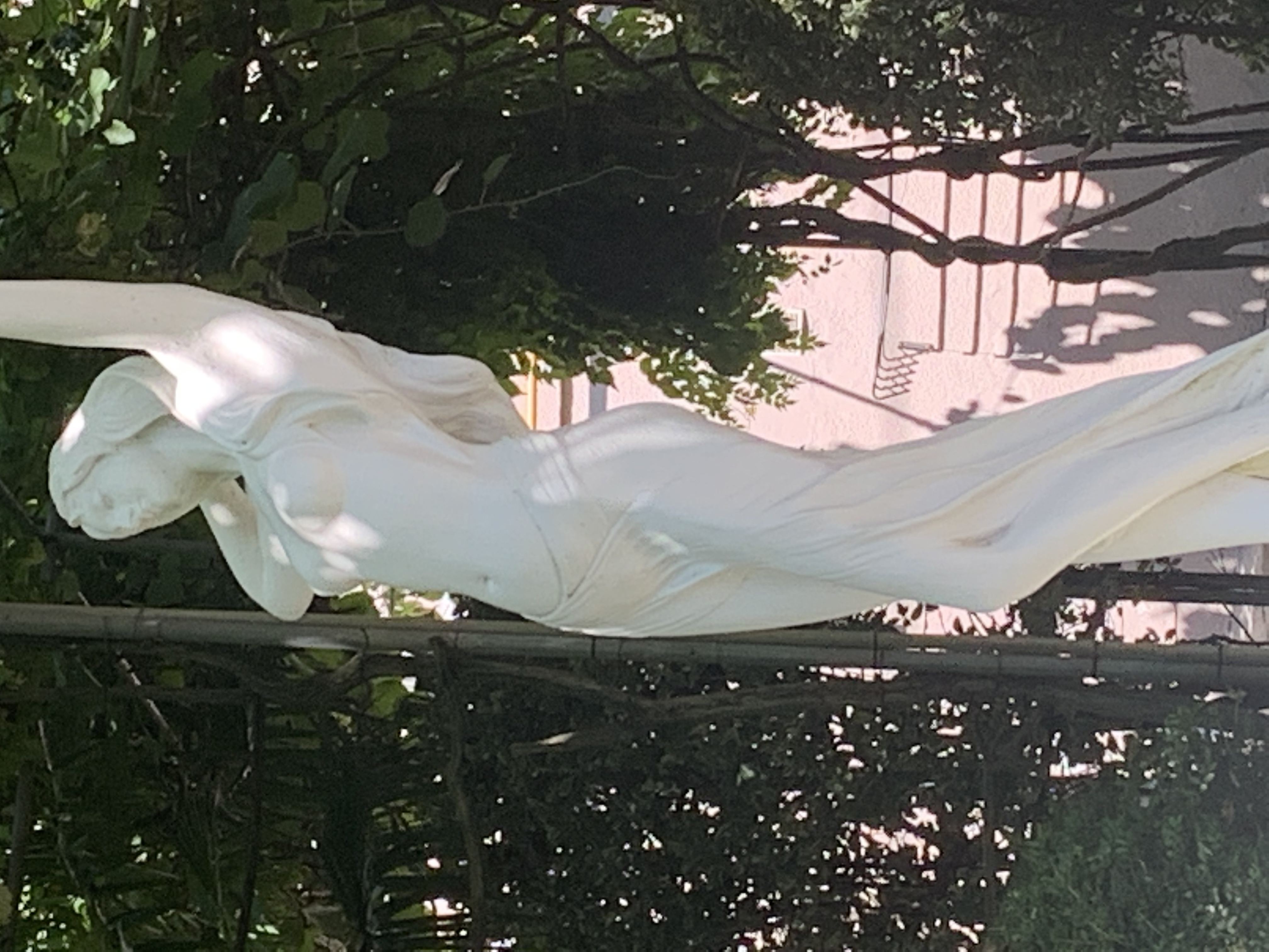 Фото Солоники