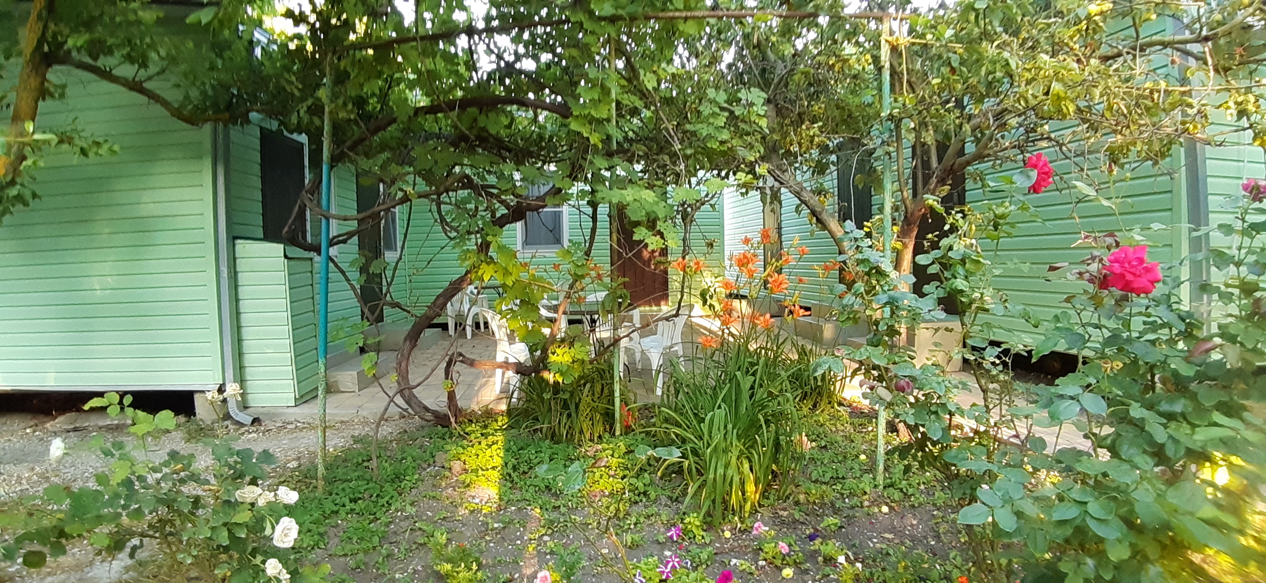 Фото Тихий сад