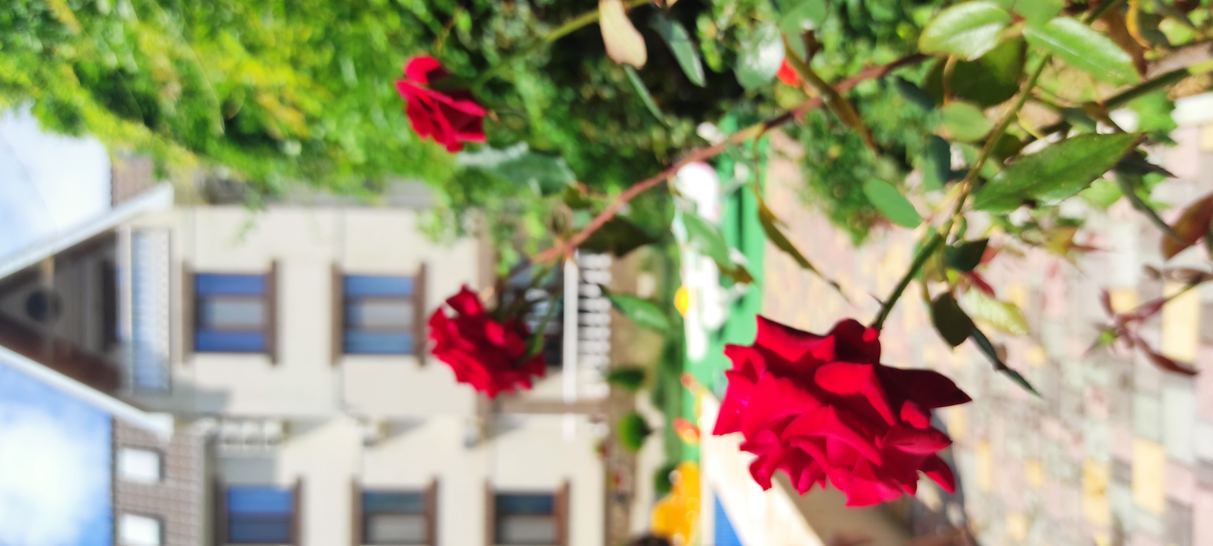 Фото Отель Ольга