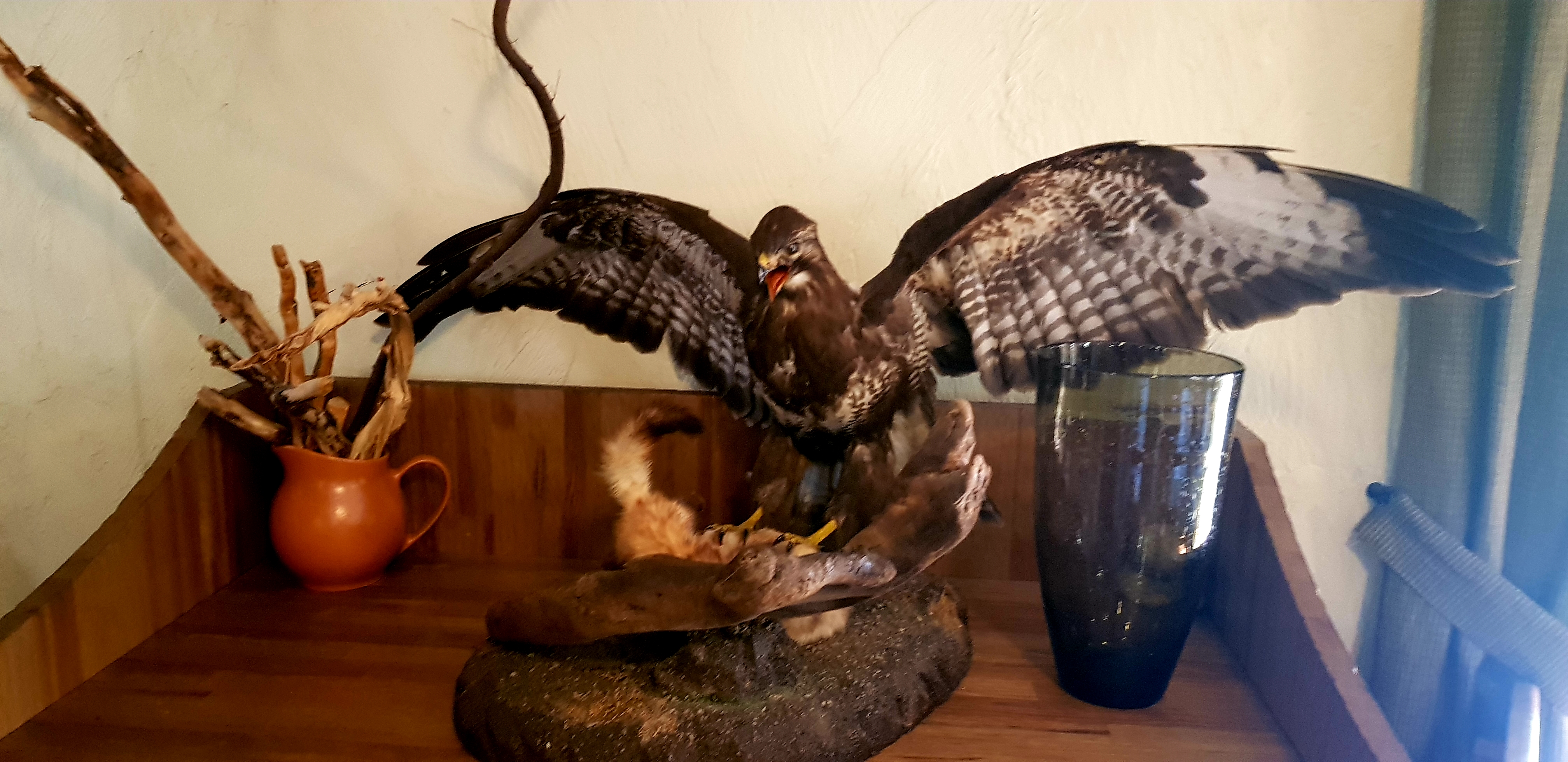 Фото Дом рыболова