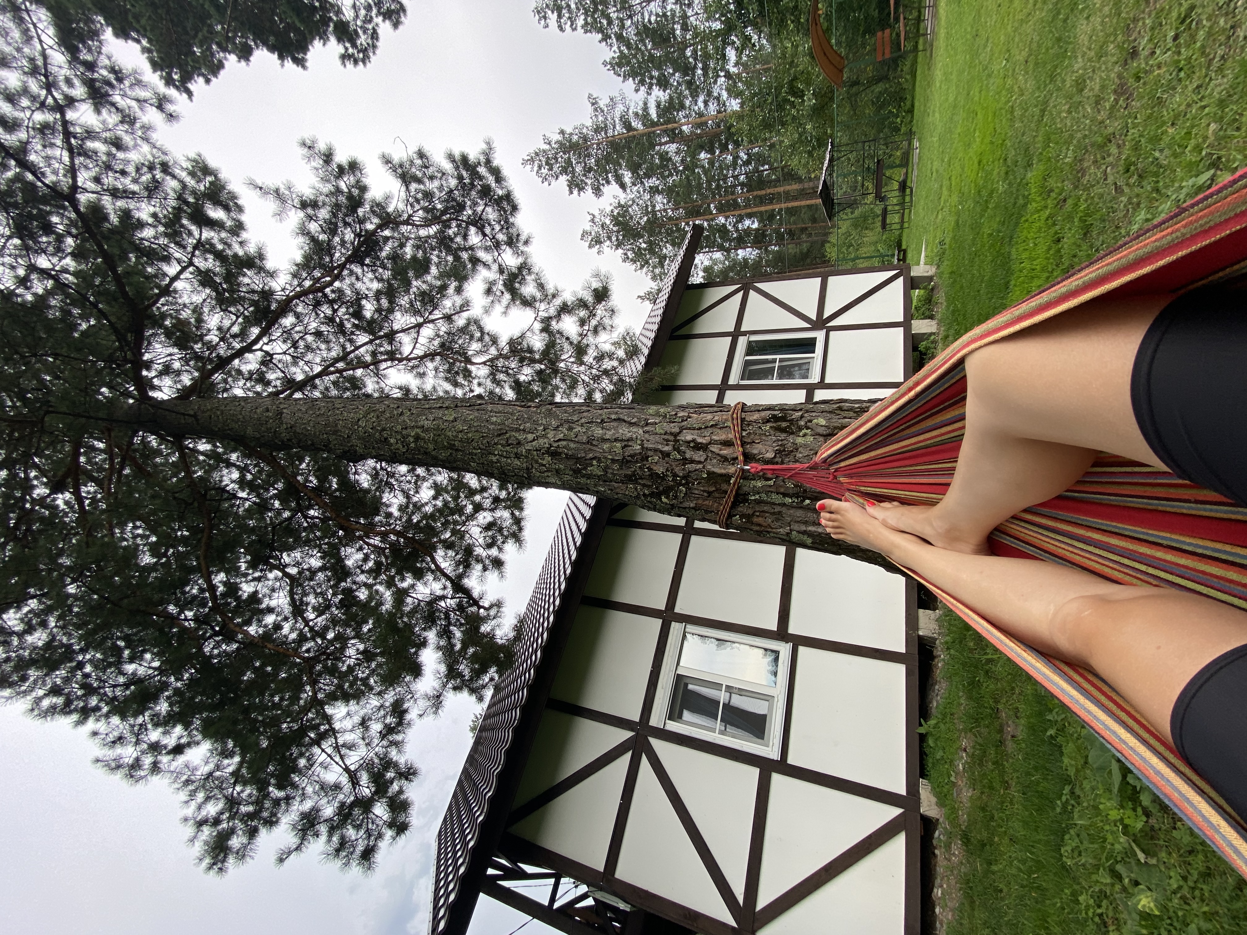 Фото Панорама