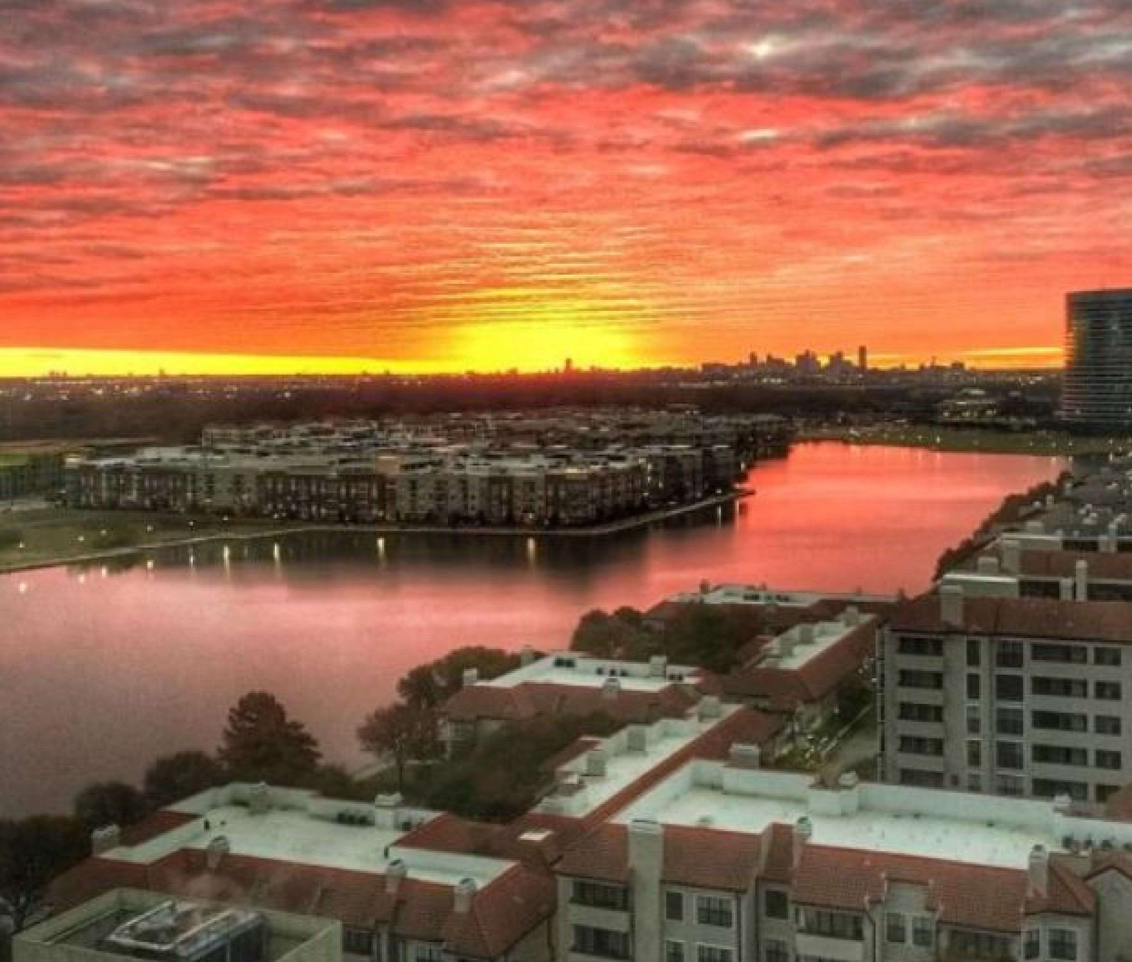 Фото Sonesta Simply Suites Dallas Las Colinas