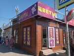 Пачка (Tashkentskaya Street, 121Ж), flower shop