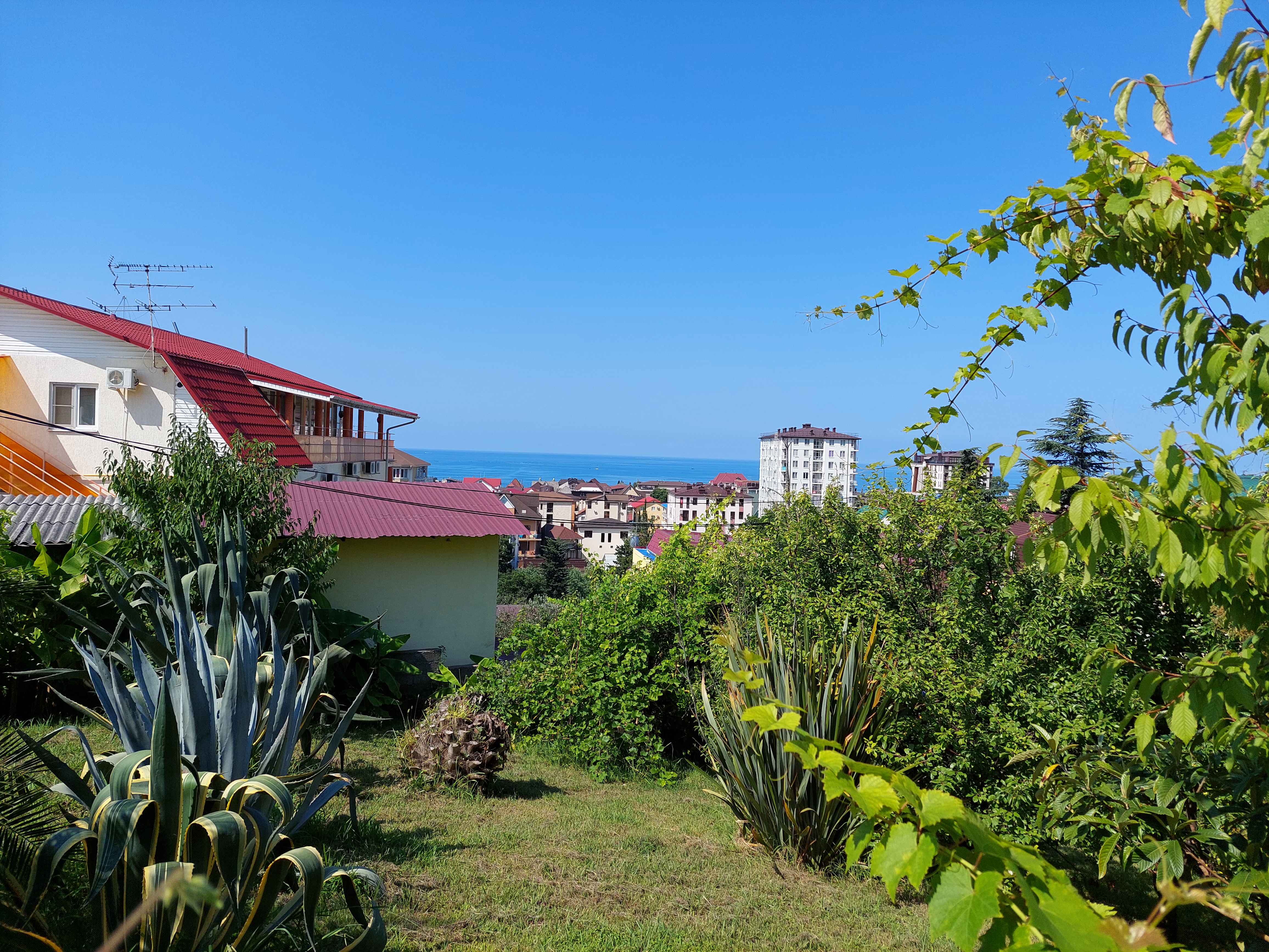 Фото Панорама