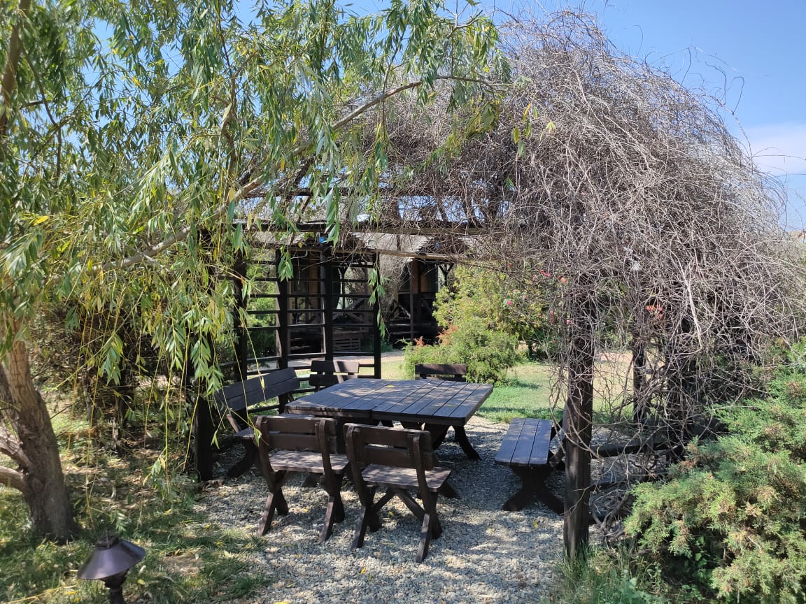 Фото Берег мечты