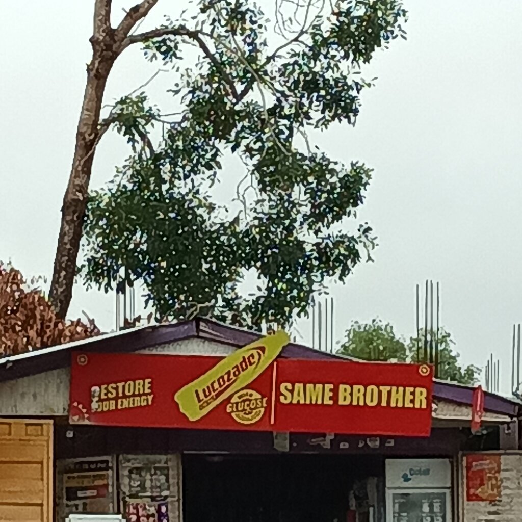 Grocery Same brother, Earth, photo