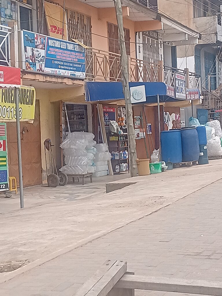 Travel agency Mustard seed travel service, Earth, photo