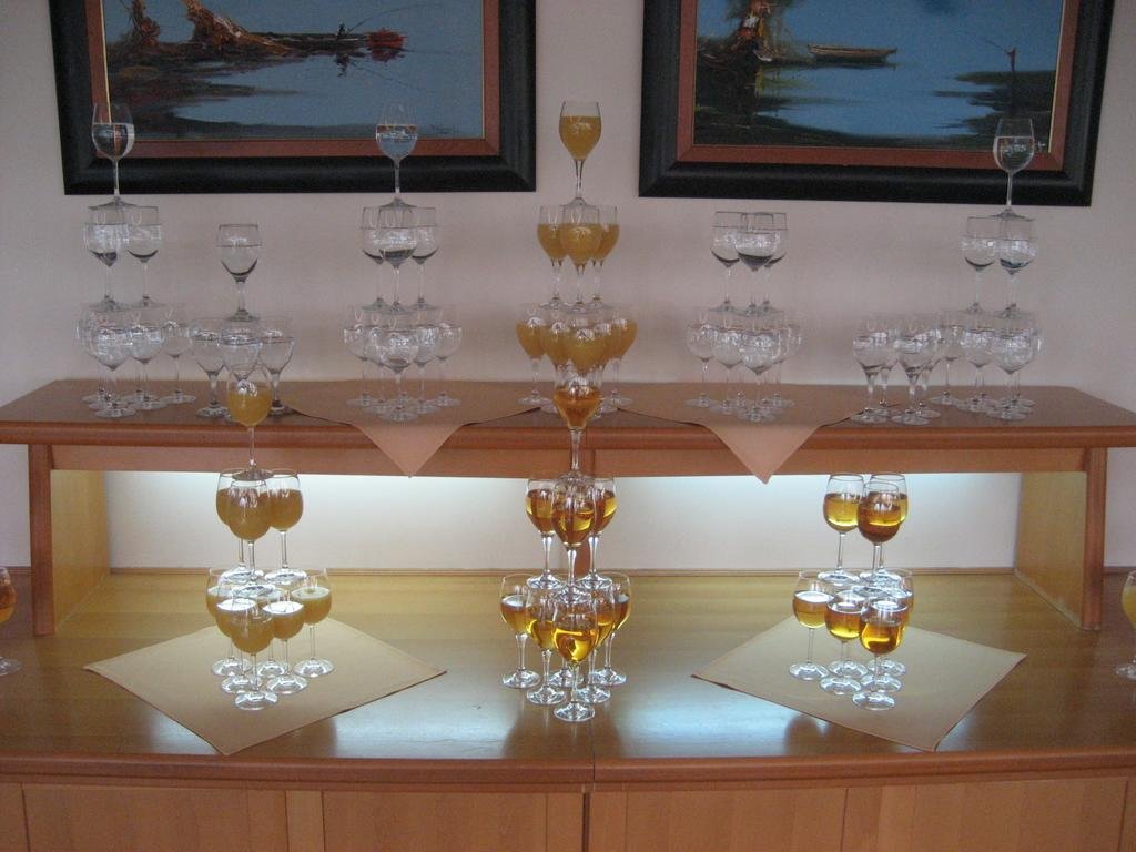 Фото Hotel Lav Vukovar