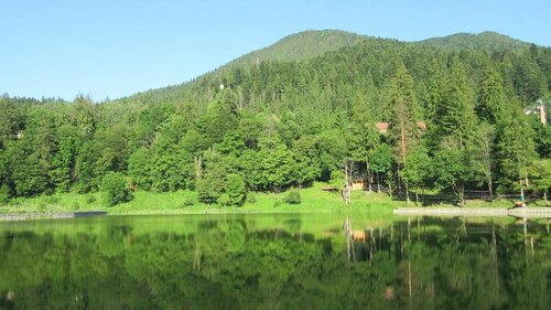 Гостиница Fortuna Eco - Boutique Hotel в Харгите