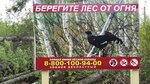 Кологривское лесничество (Kologriv, ulitsa Nekrasova, 22), forestry