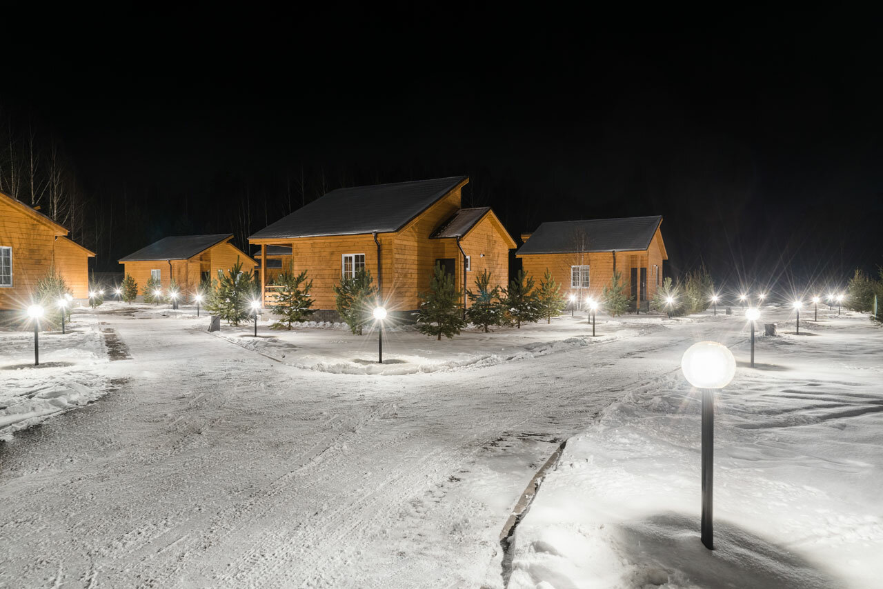 Фото Золотые Караси