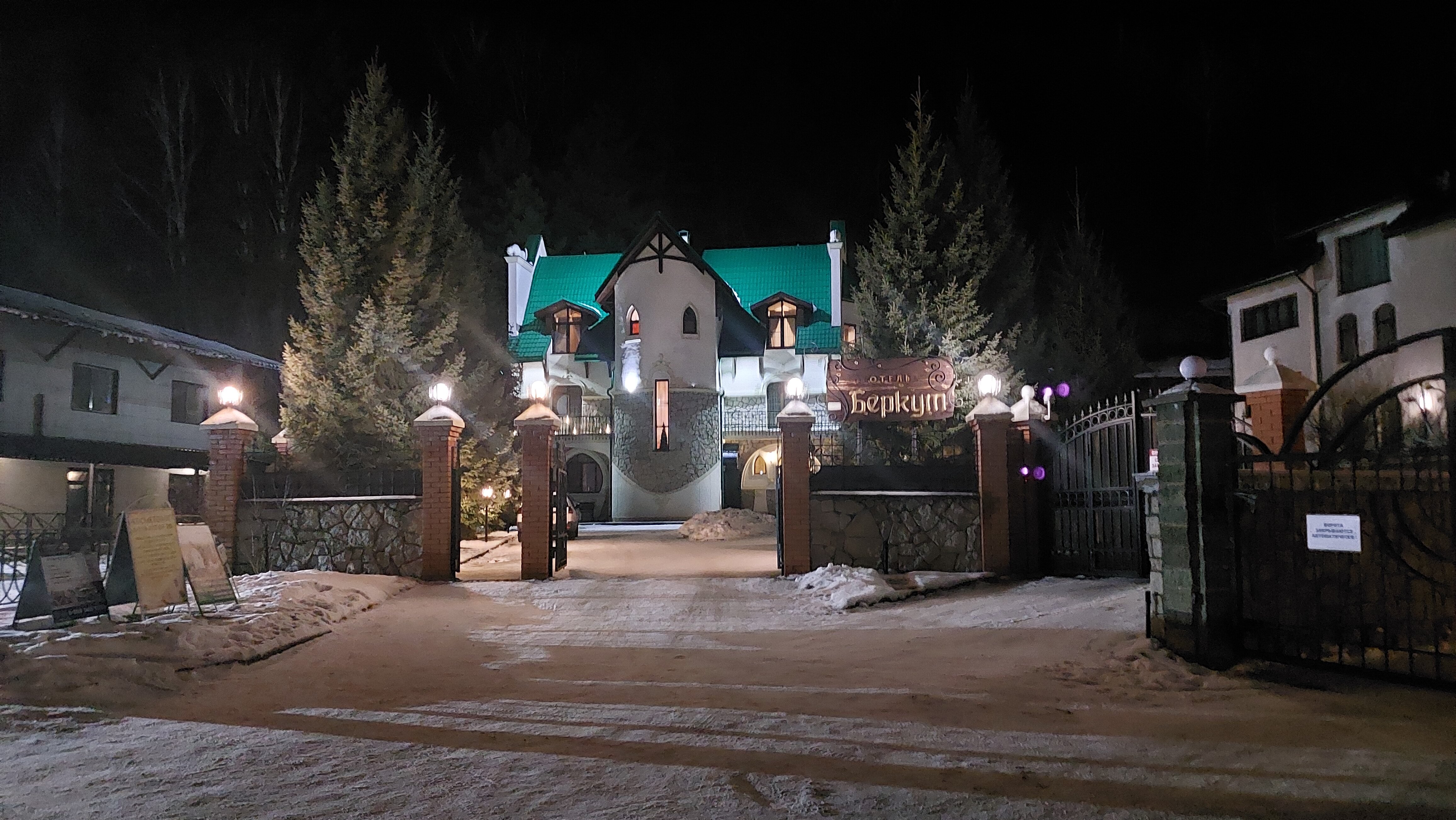 Фото Беркут