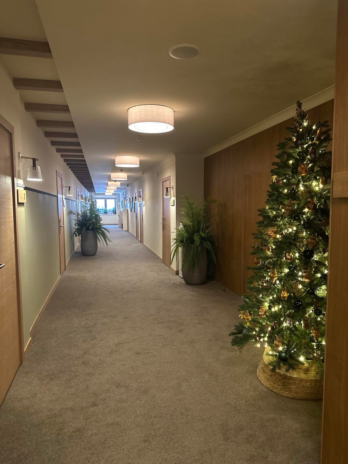 Фото Антиквар-отель мещанина Охлонина