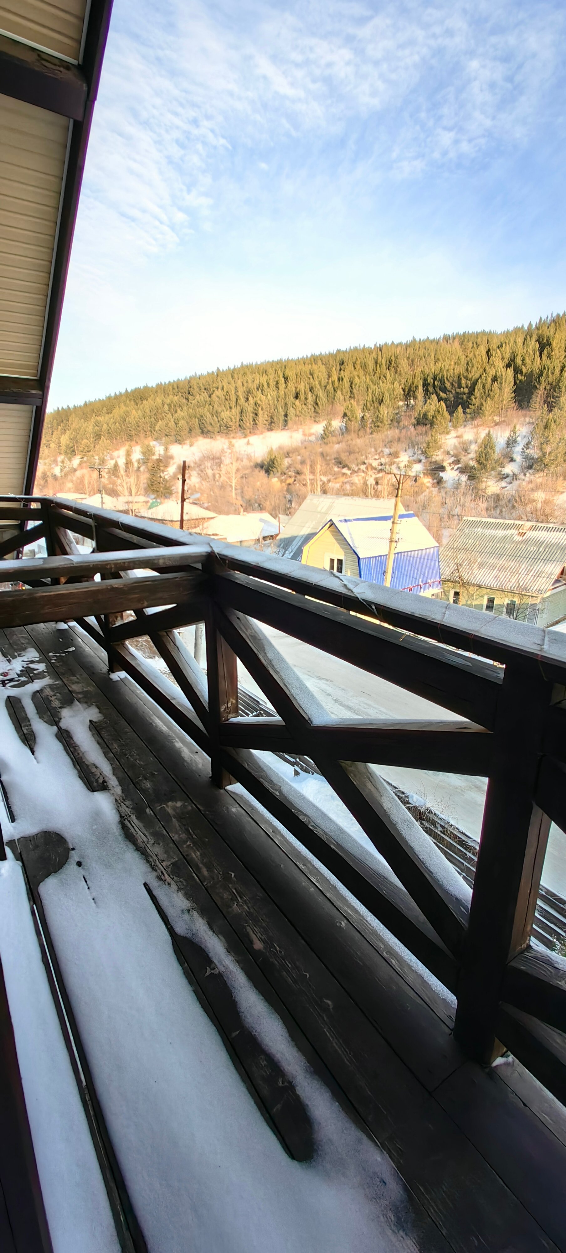 Фото Горная Пчела