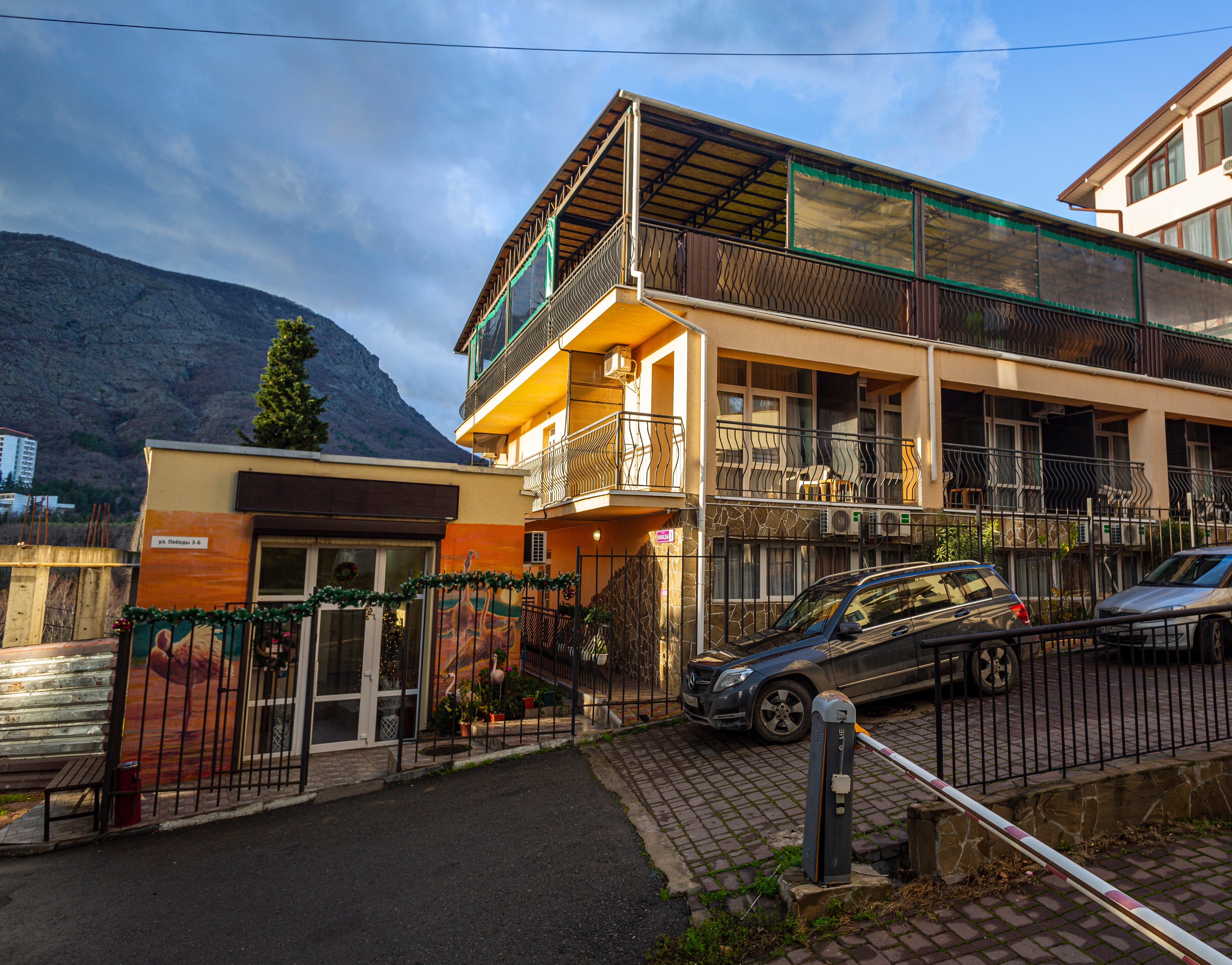 Фото Фламинго