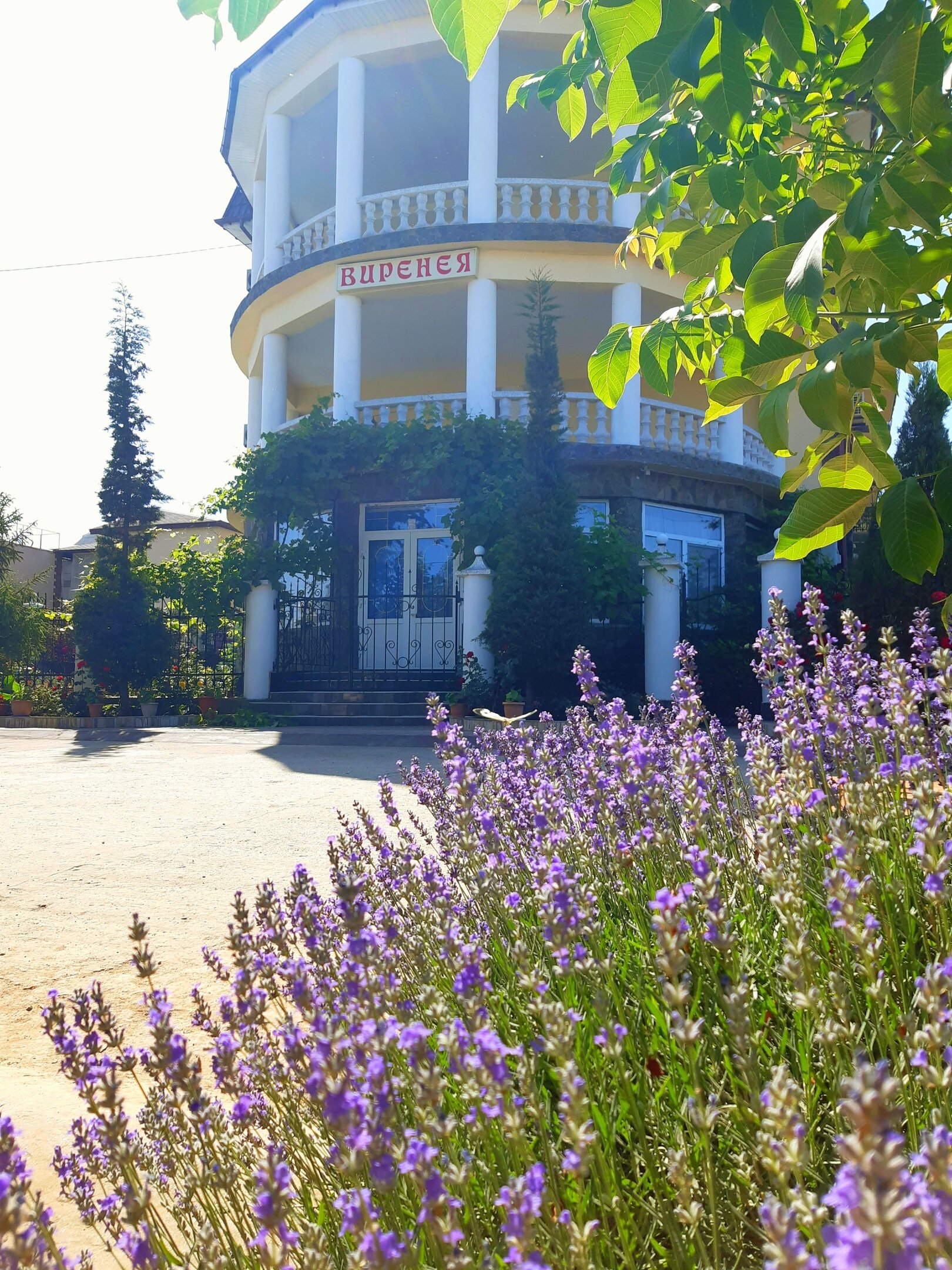 Фото Виренея