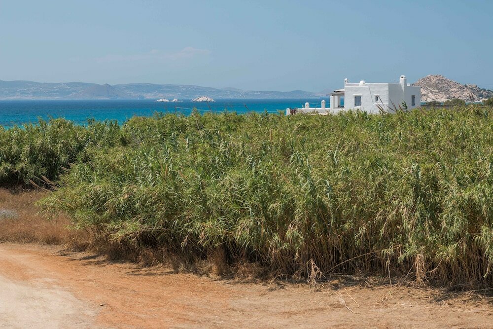 Фото 9 Muses Naxos beach hotel