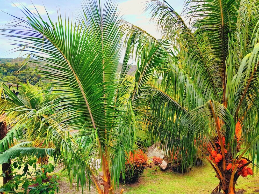 Фото Liberty Suite Cottage 8