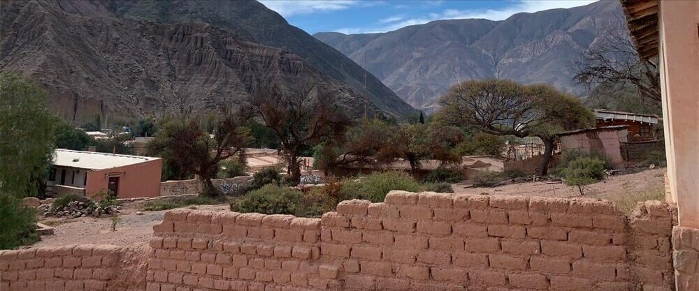 Фото Cactus Hotel