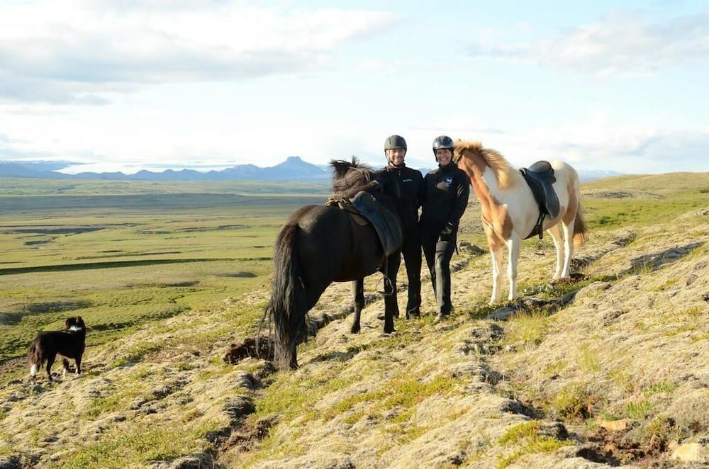 Фото Skálinn between Gullfoss and Geysir – Myrkholt Farm