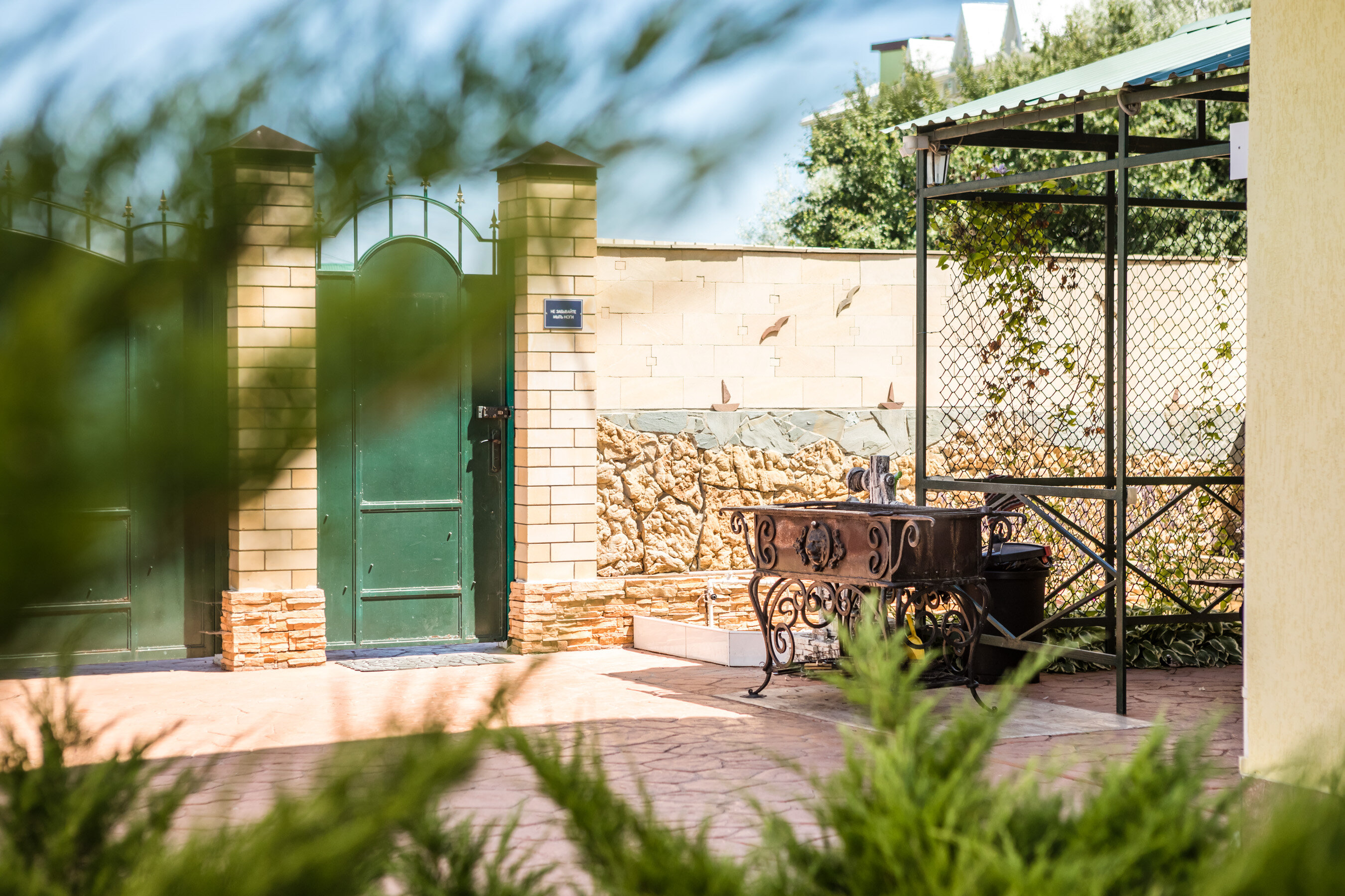 Фото Зеленая Крыша