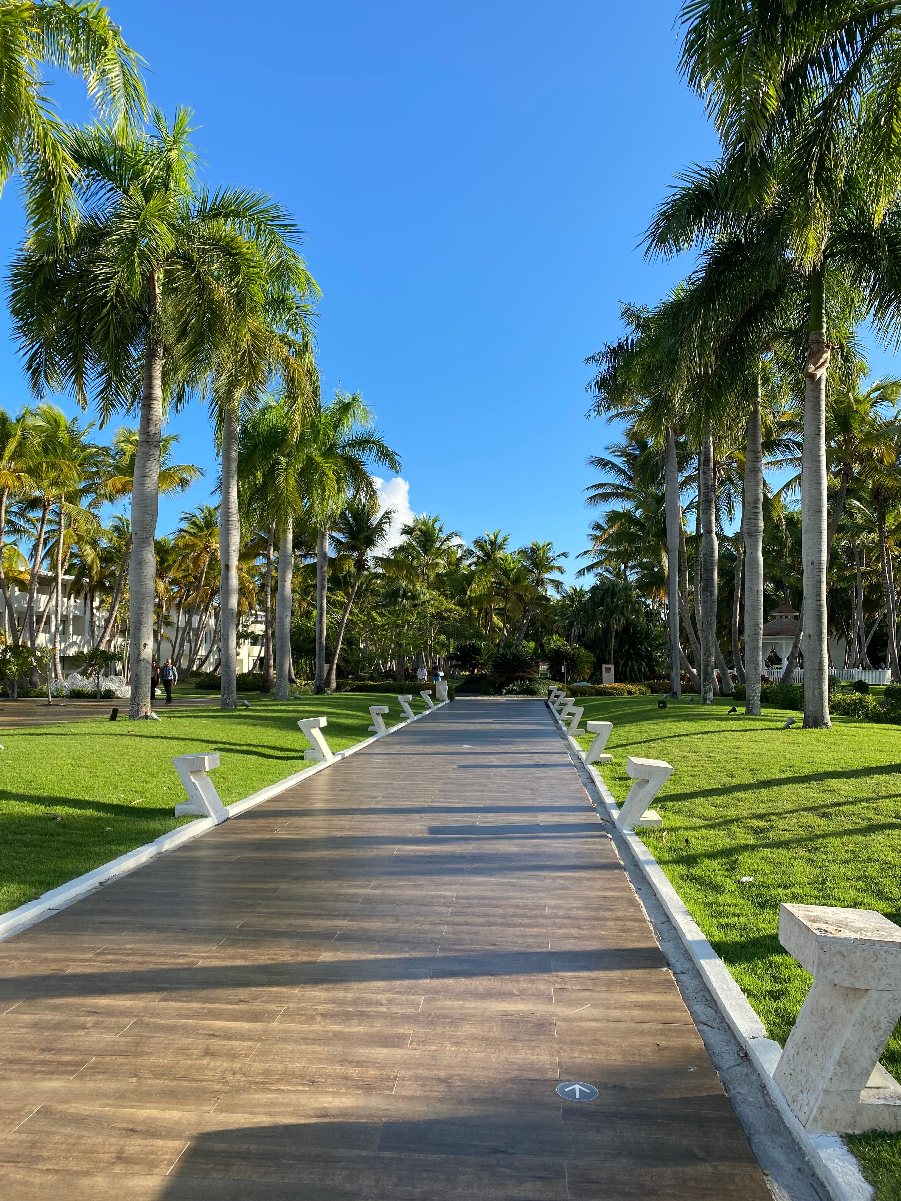 Фото Catalonia Bavaro Beach Golf And Casino Resort