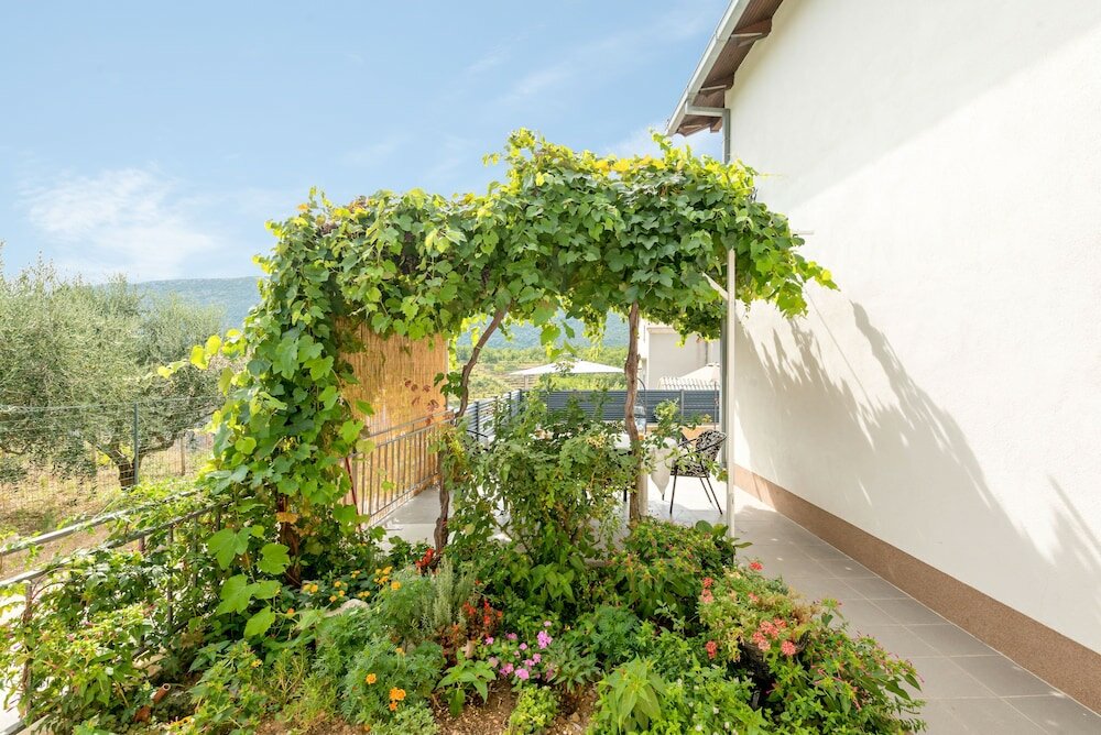 Фото House Boris