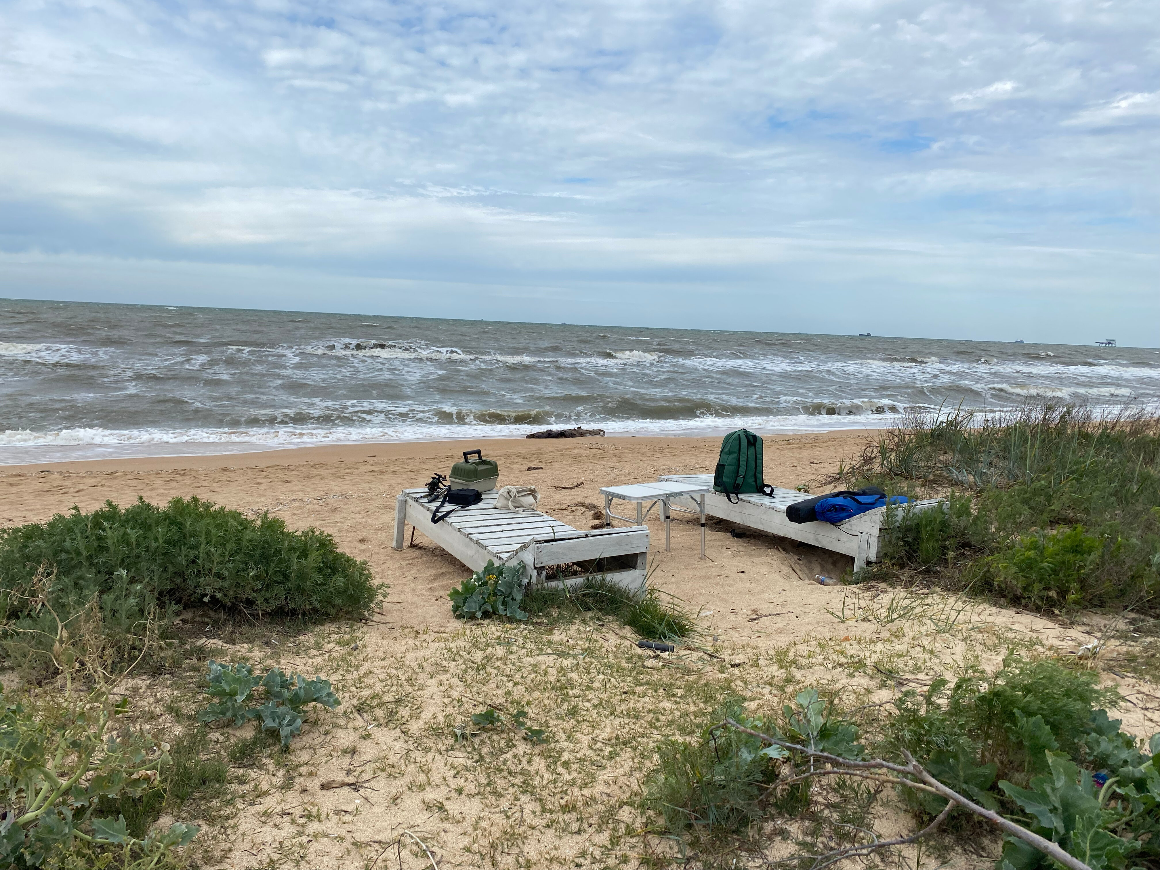 Фото Добрый хозяин