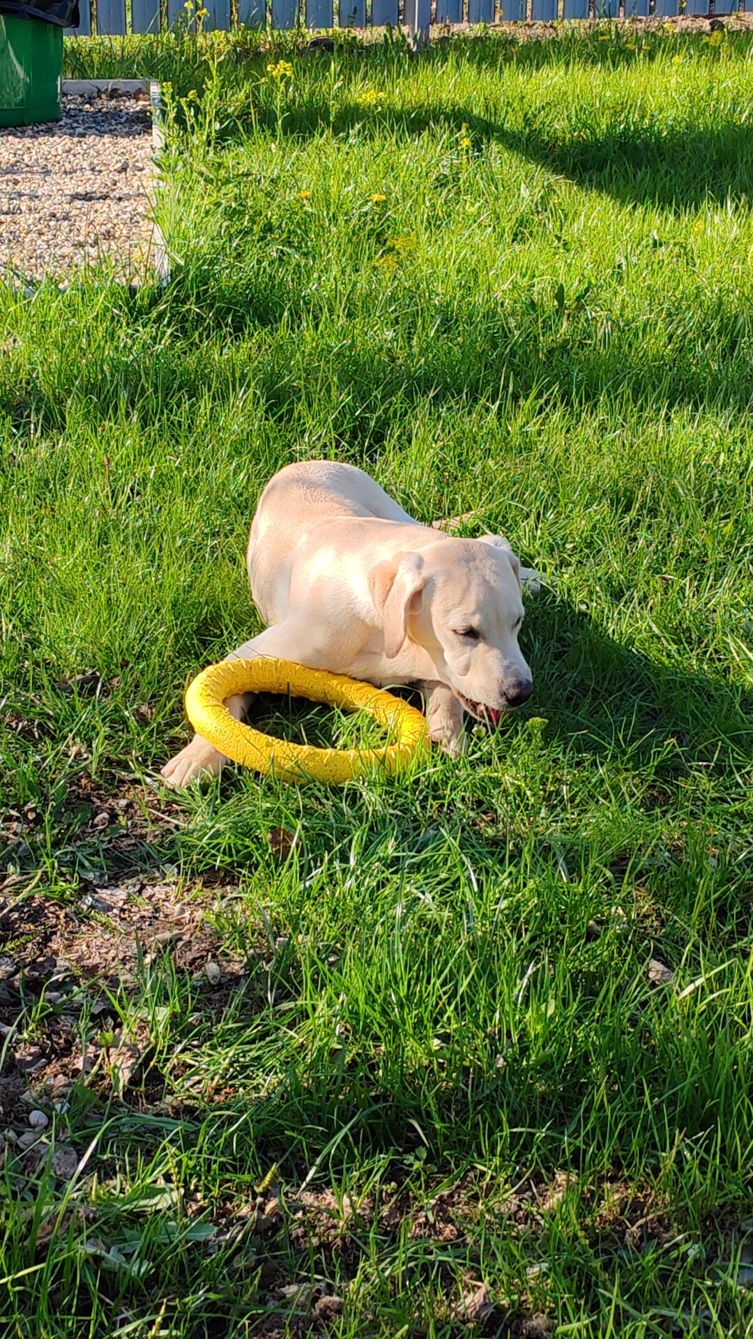 Фото Friends & Family